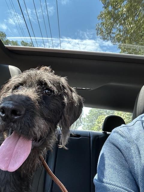 WOODY - COURTSEY POST 3