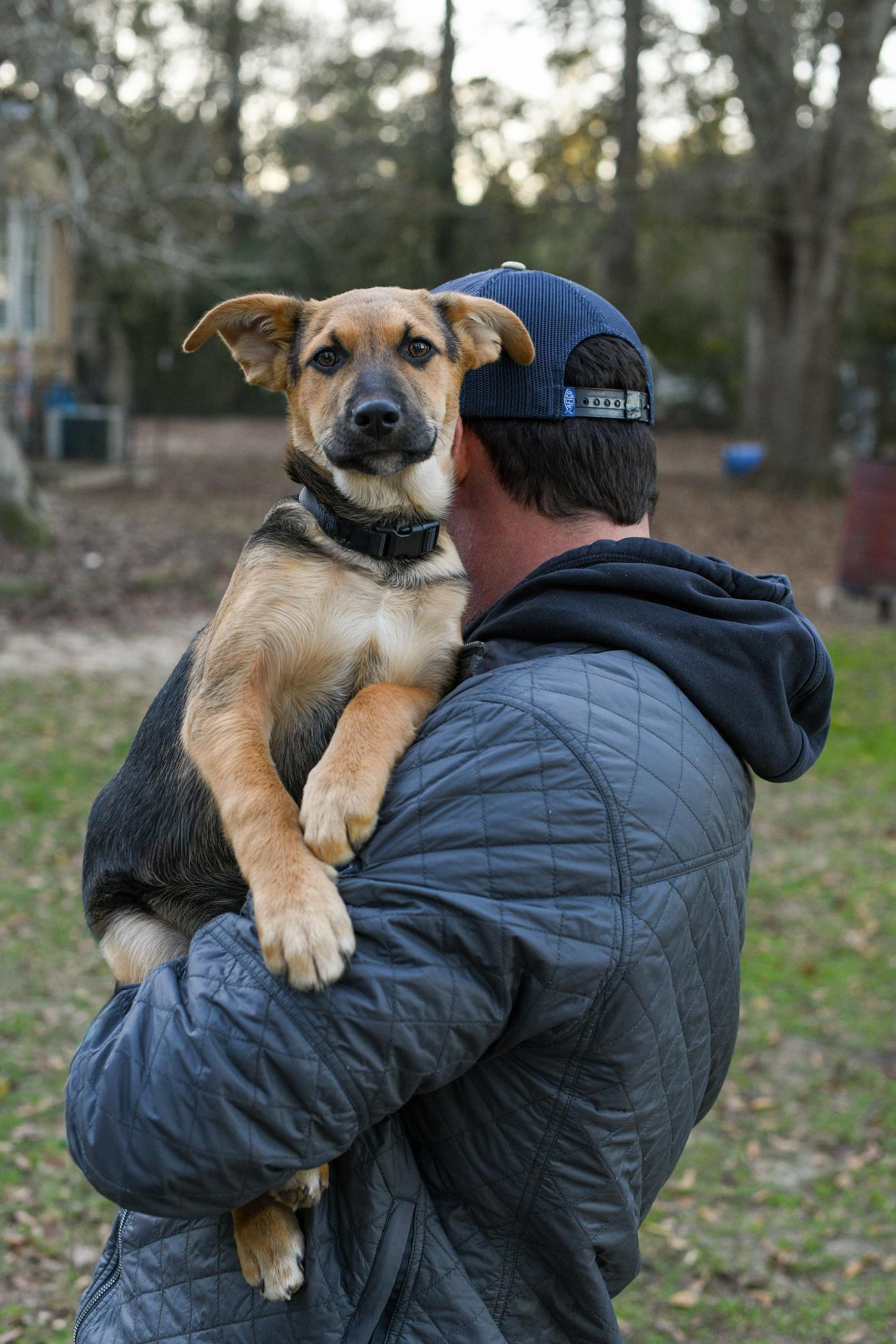 Enlarge Ricky , a Adoptable Mixed Breed in Argyle, NY image 1/5