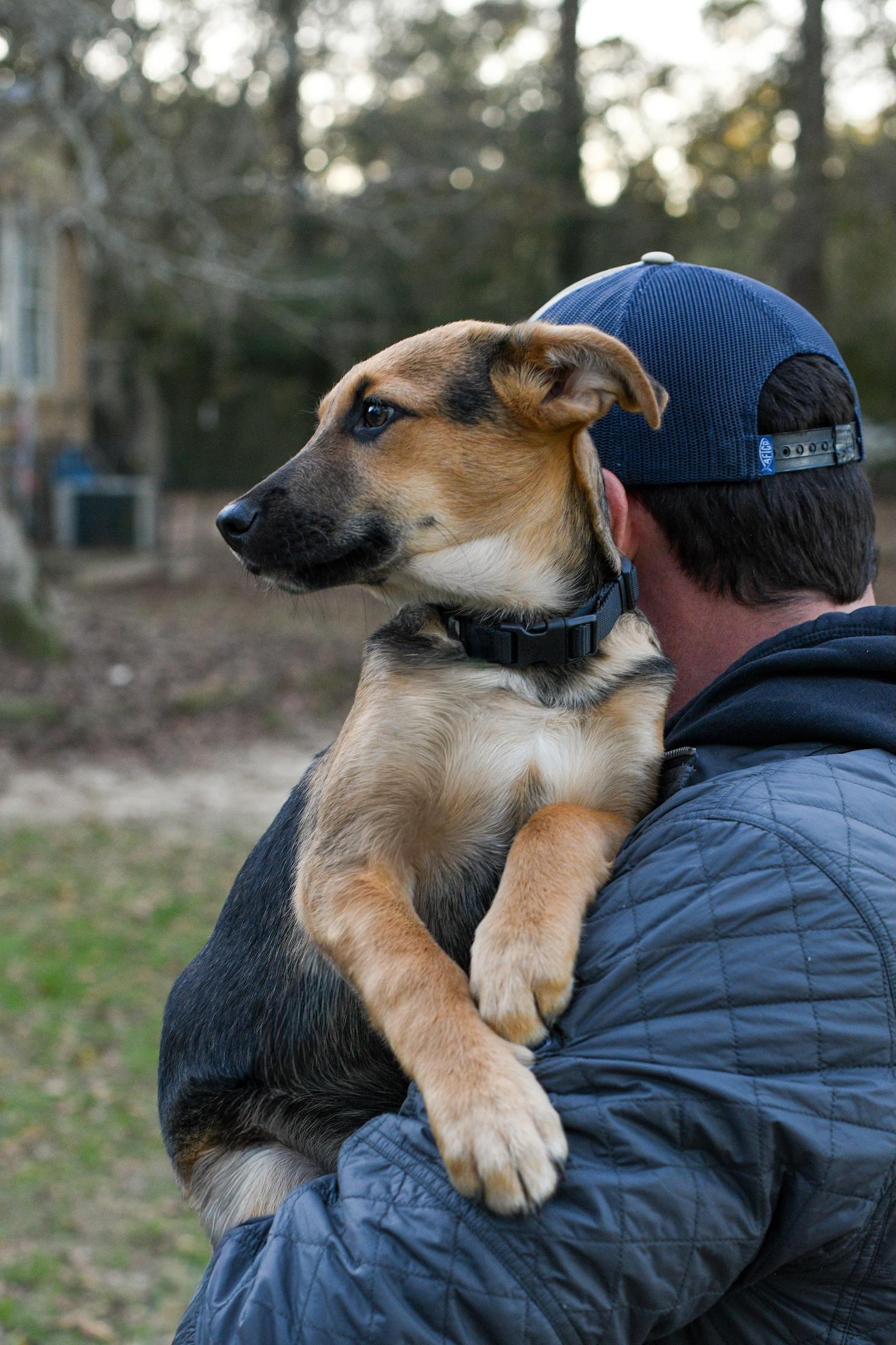 Enlarge Ricky , a Adoptable Mixed Breed in Argyle, NY image 5/5
