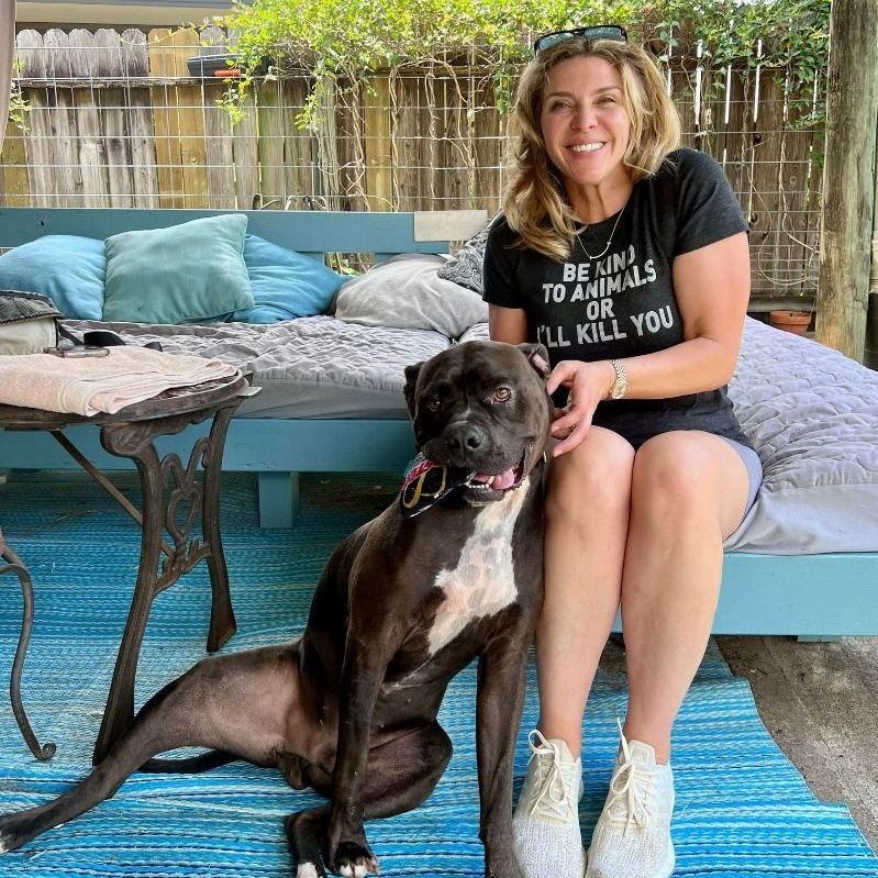 Enlarge Miles, a Adoptable mixed breed in Houston, TX image 4/6