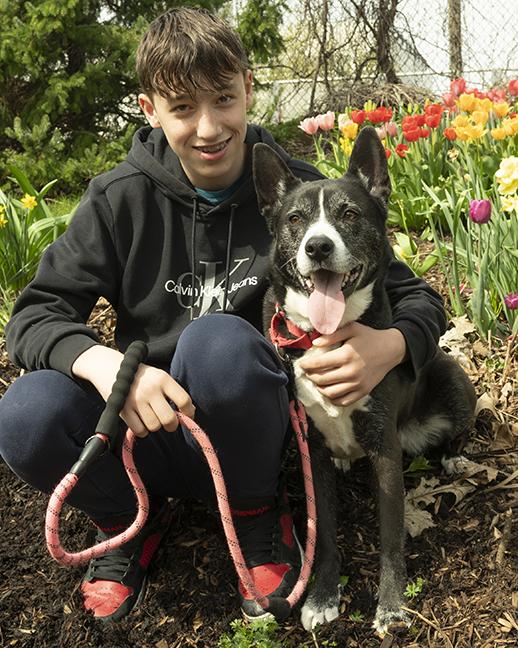 Enlarge Holly, a ADOPTABLE mixed breed in Chicago, IL image 2/6