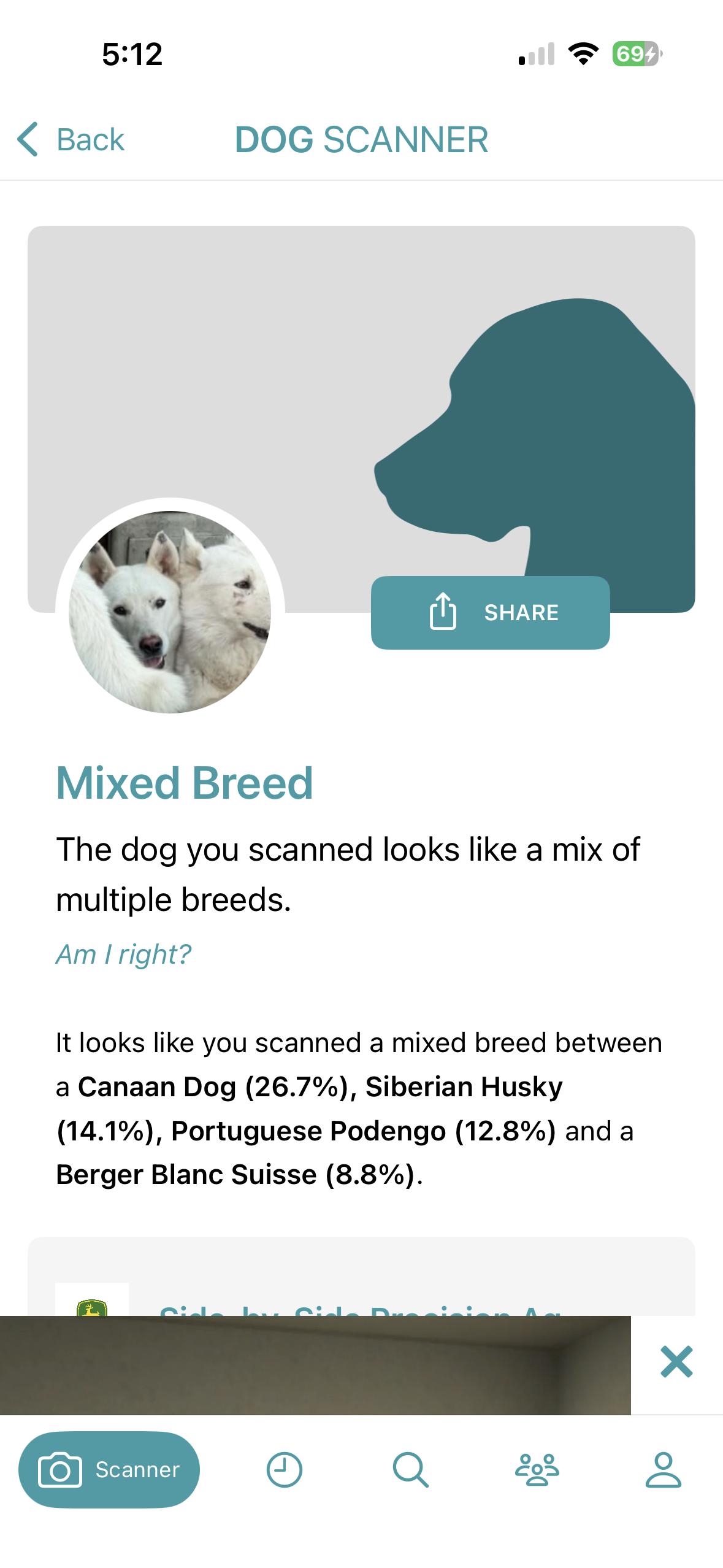 Enlarge 6 month old White Puppies, a ADOPTABLE mixed breed in Torrance, CA image 2/3