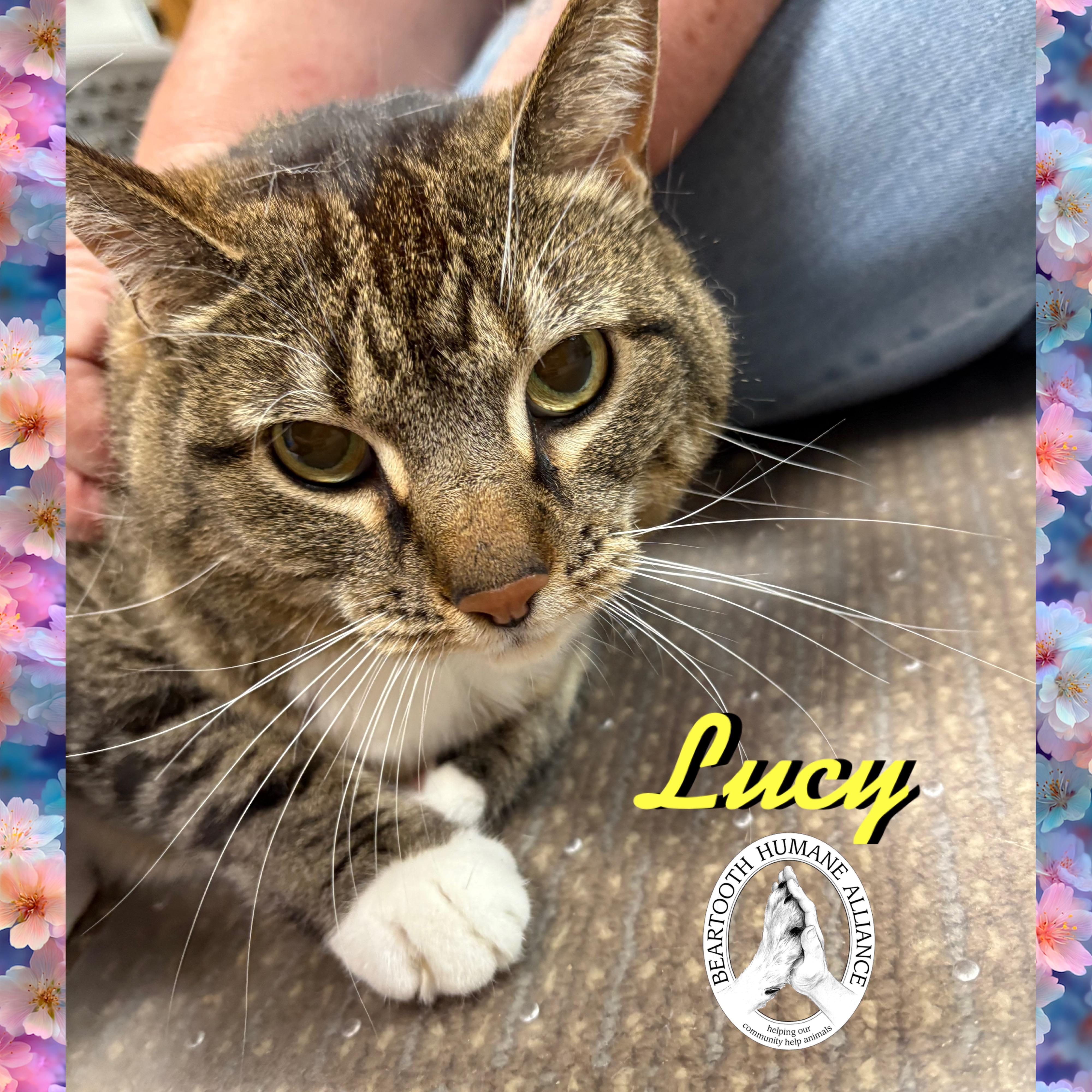 Lucy photo 1