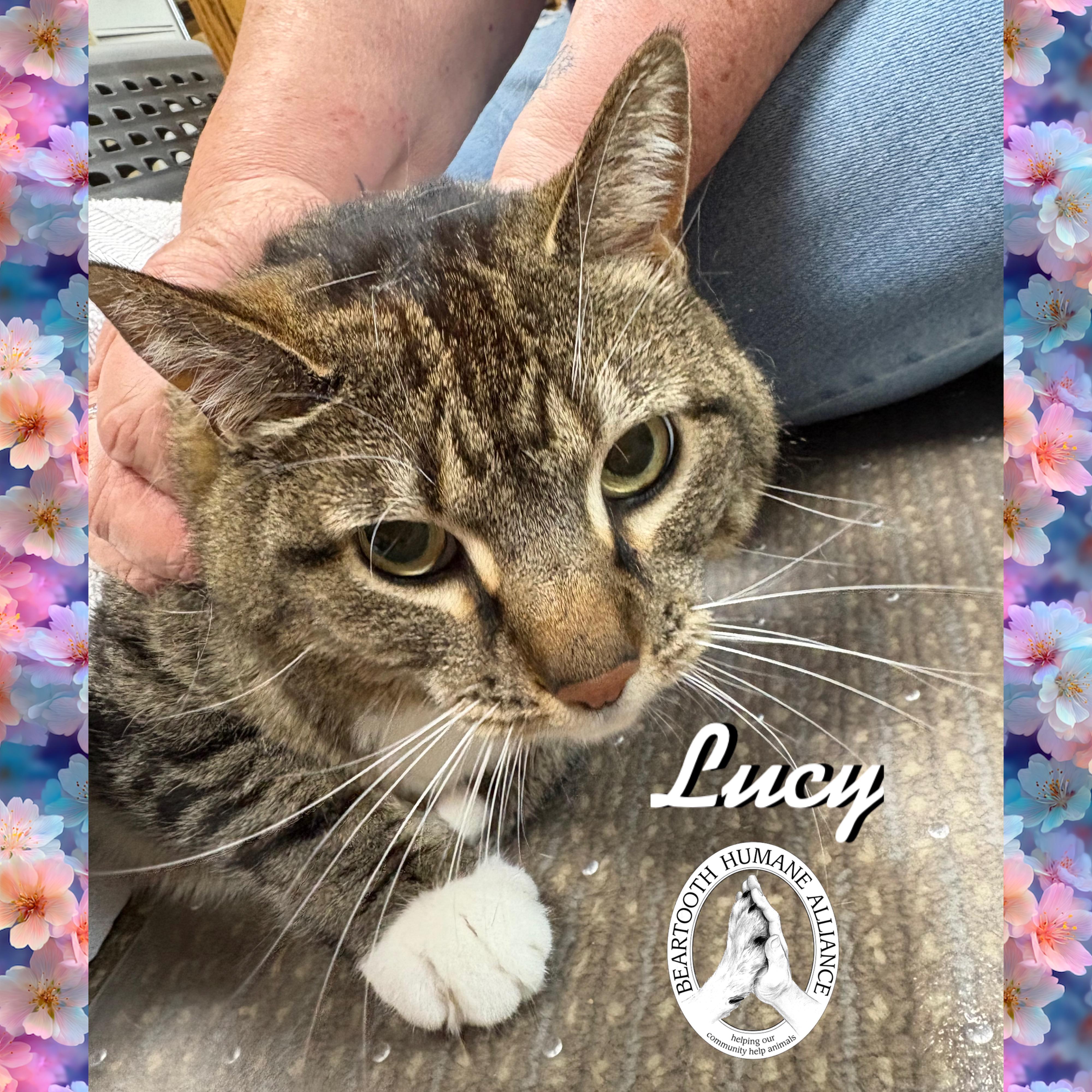Lucy photo 3