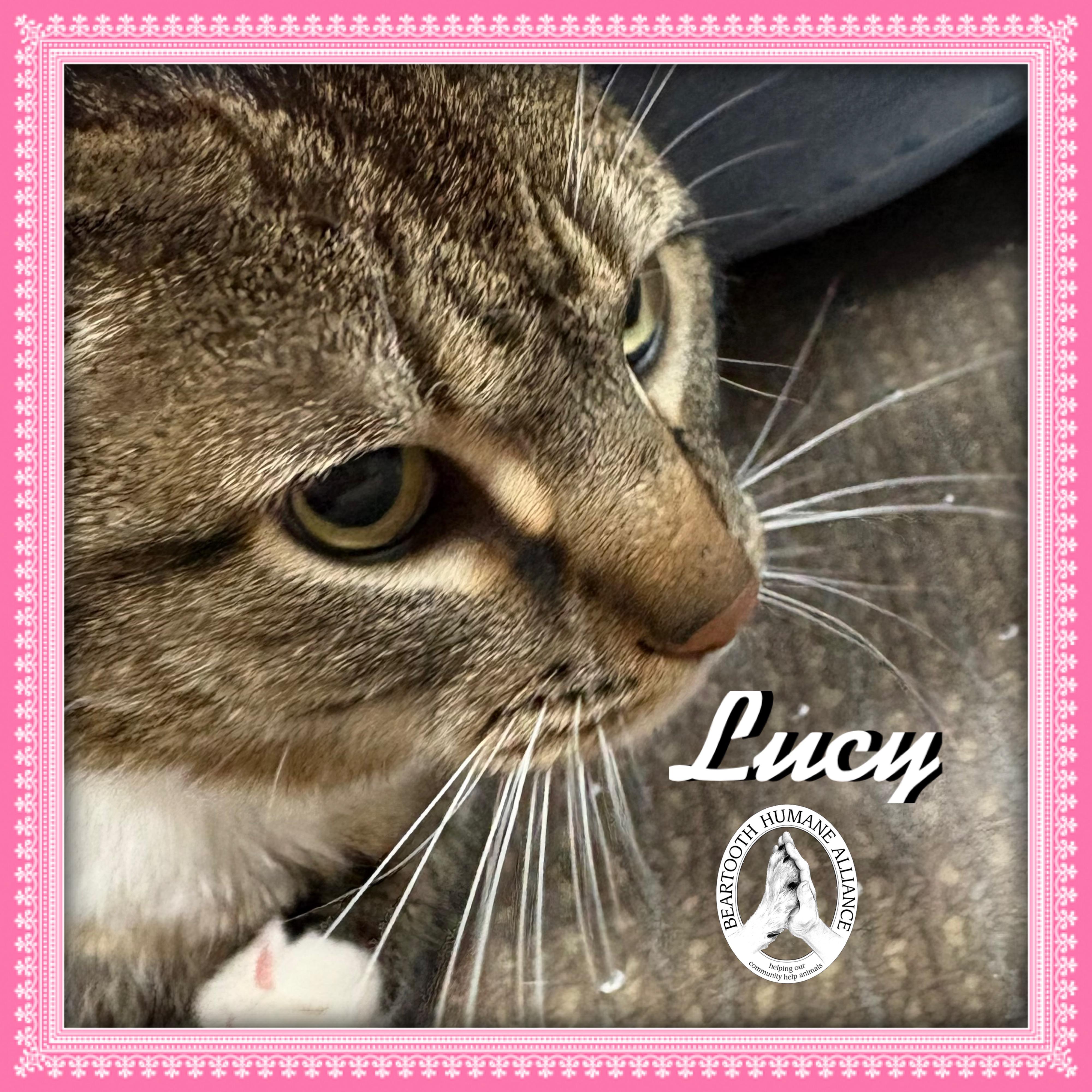 Lucy photo 2