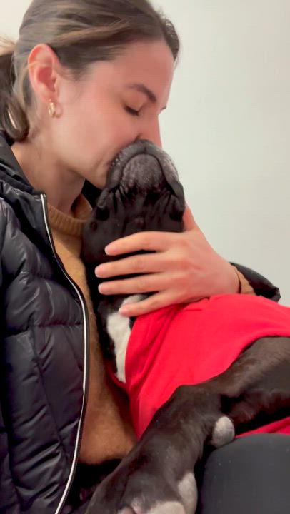 Enlarge Cindy Lou Who, a Adoptable mixed breed in North Haven, CT video 5/6