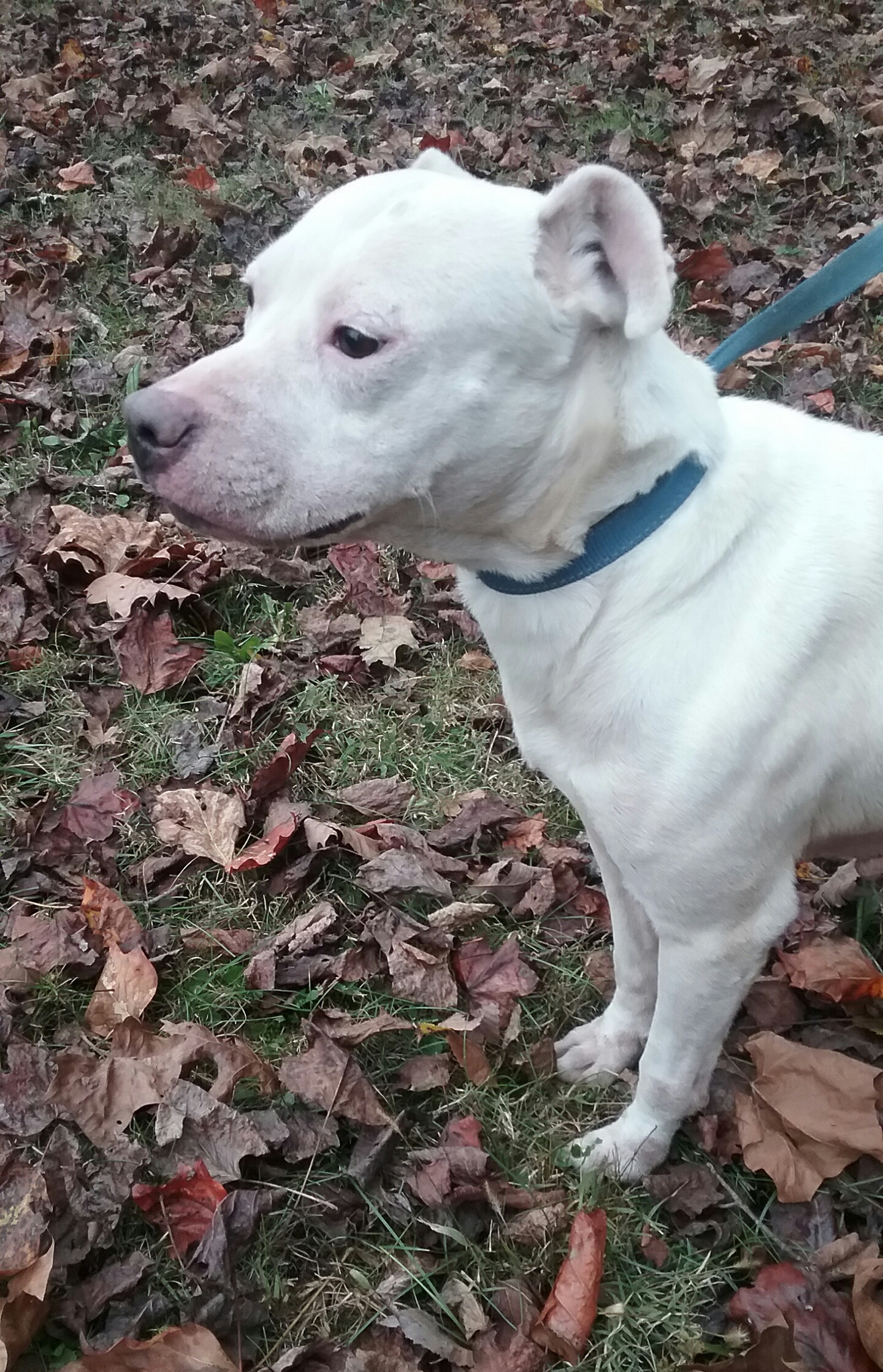 Lola photo 2