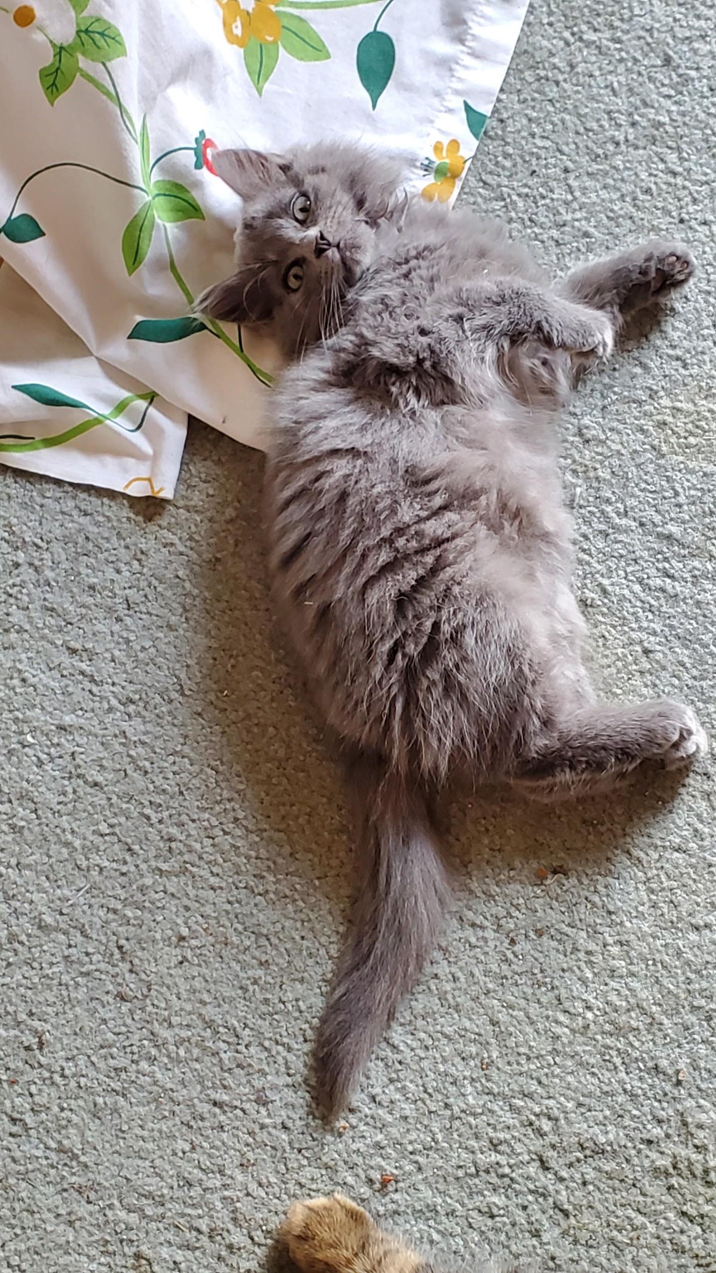 Smokey