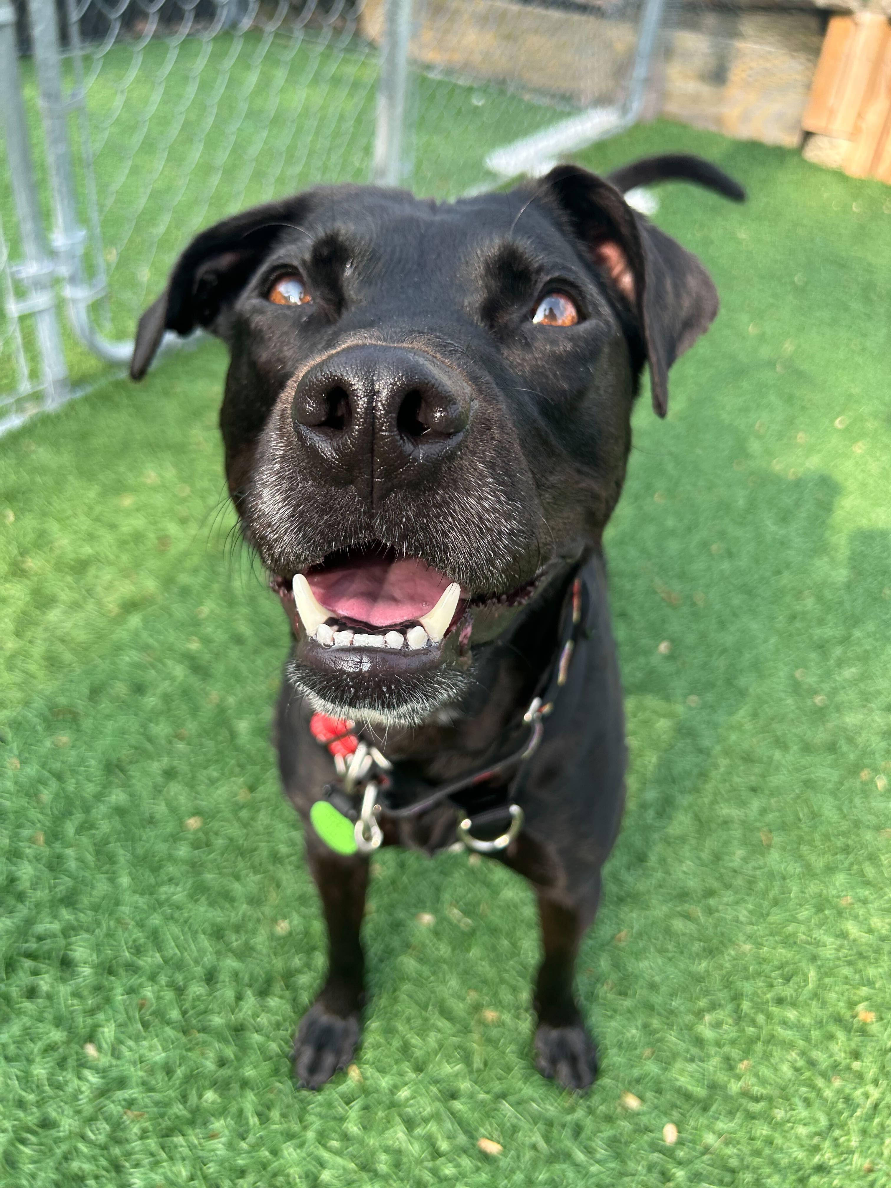 Wesson *HERE IN NH* 5