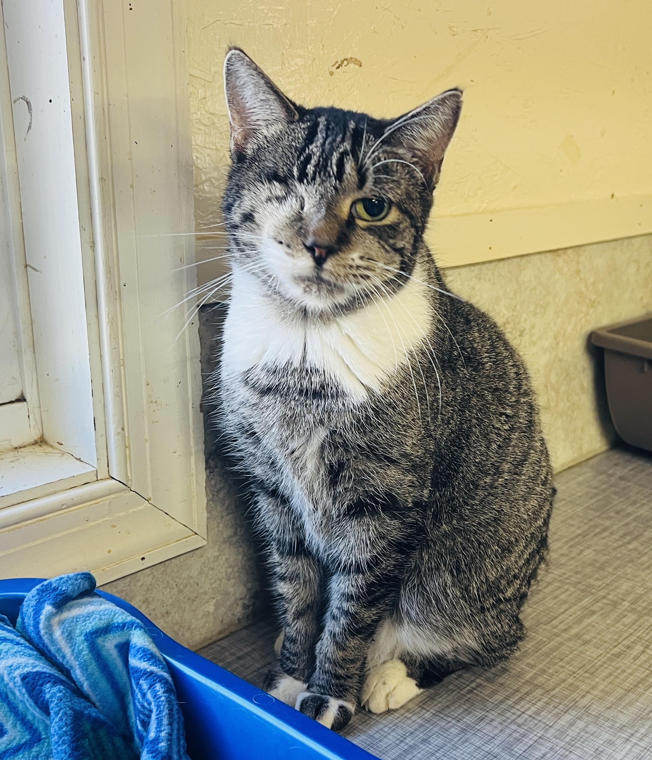 Aspen — thumbnail 4