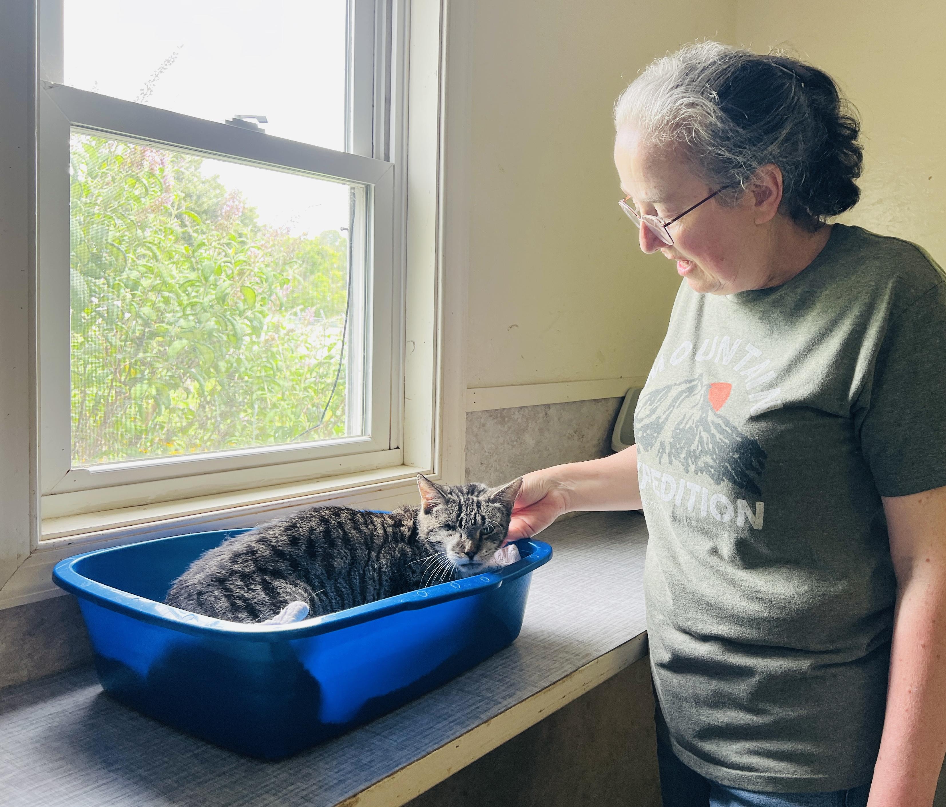 Aspen — thumbnail 6