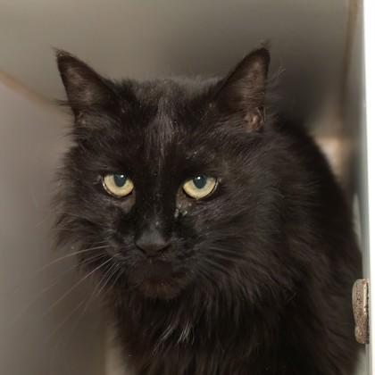 Lala — thumbnail 2