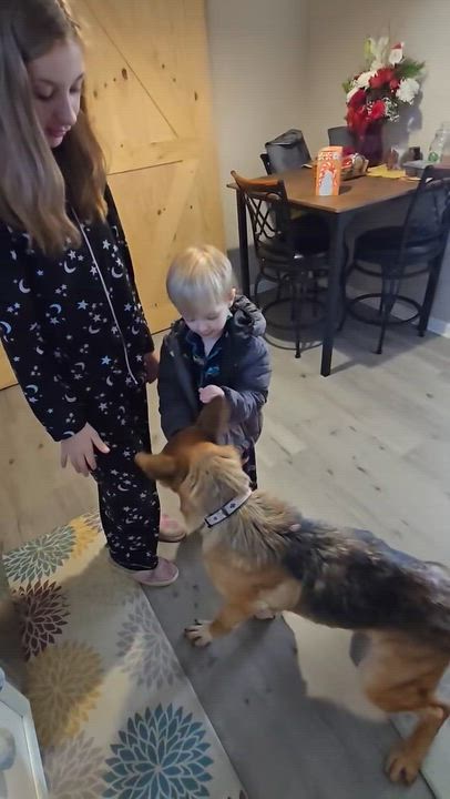 Enlarge Lisa, an adopted German Shepherd Dog in Bayville, NJ video 5/5