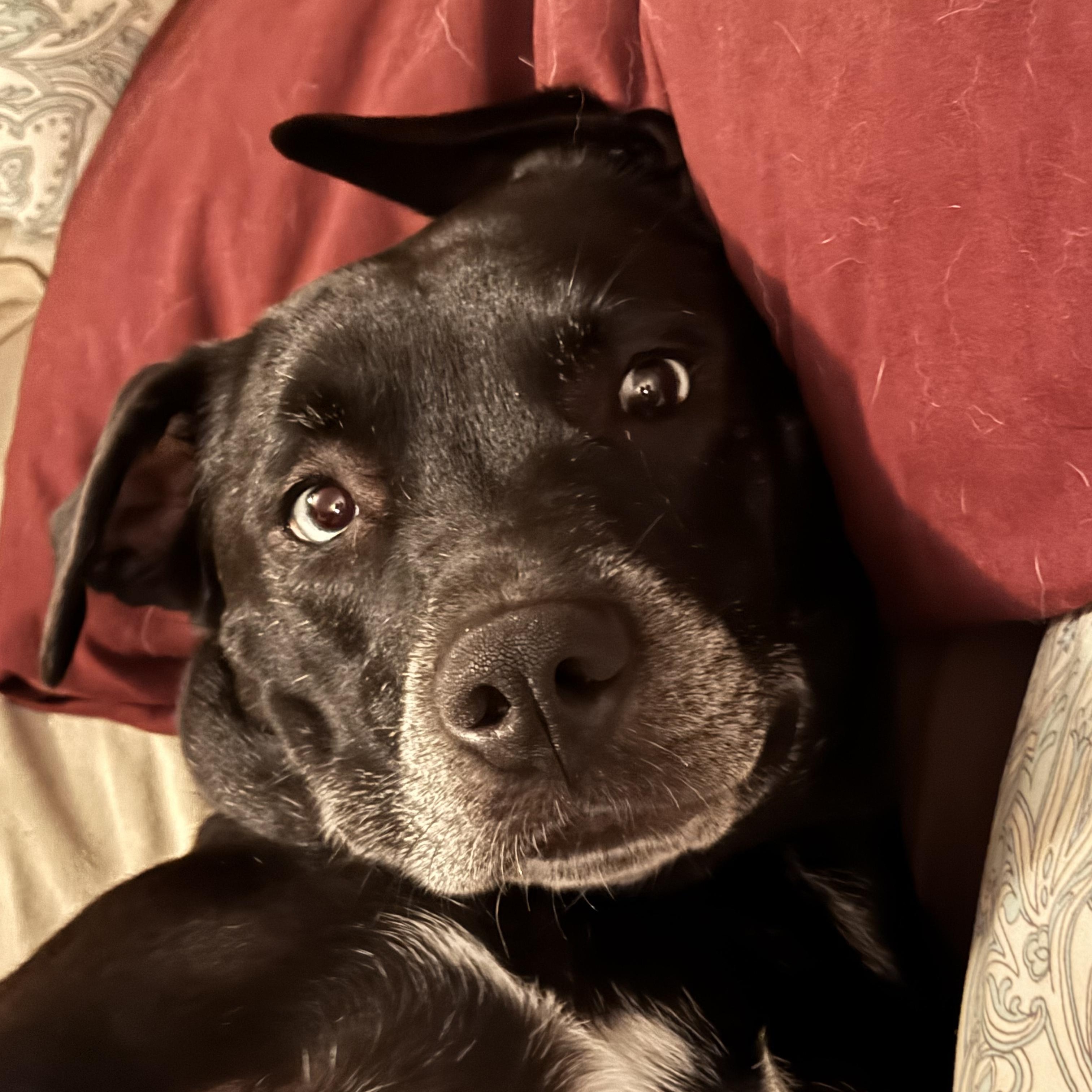 Indy Anna Jones thumbnail 3