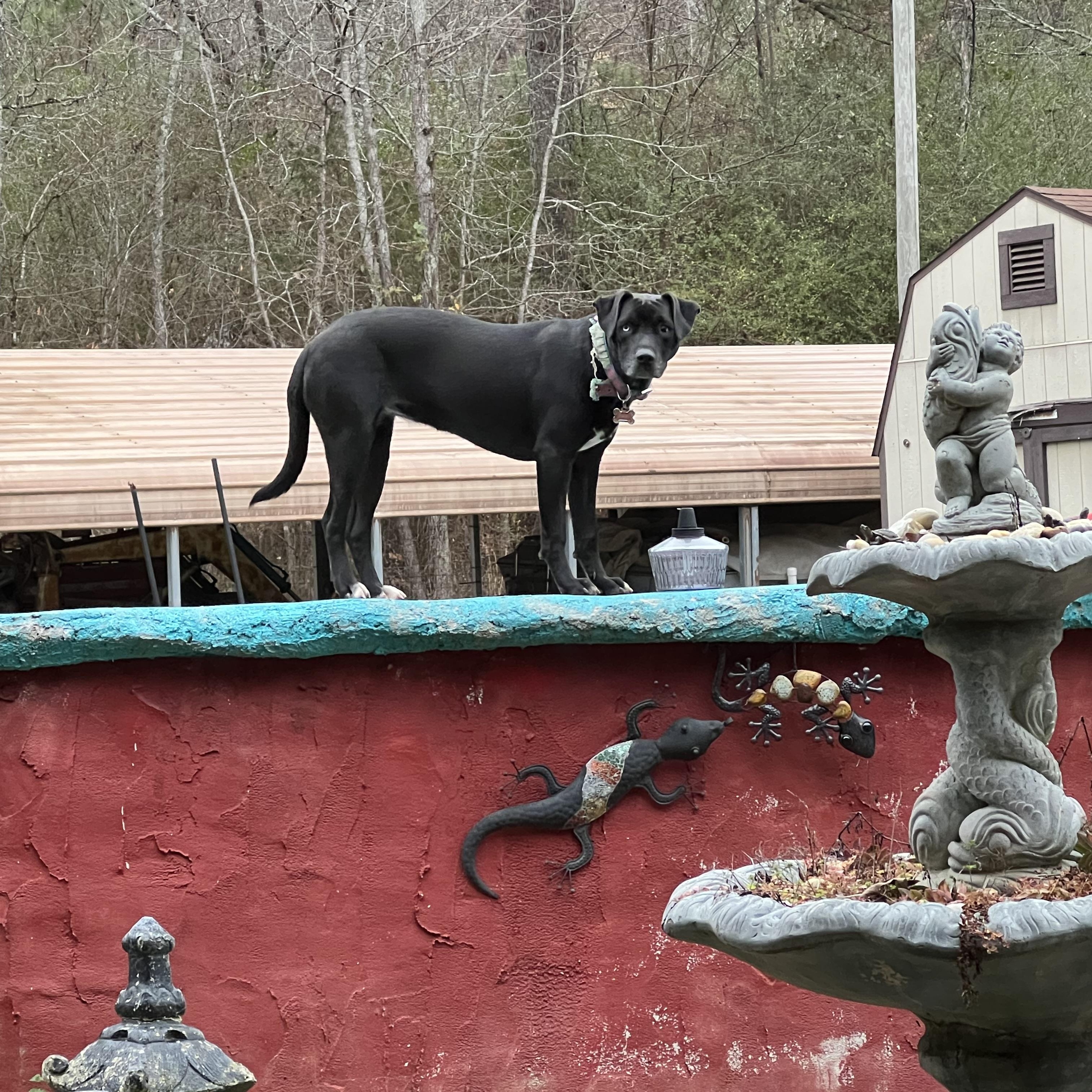 Indy Anna Jones thumbnail 4