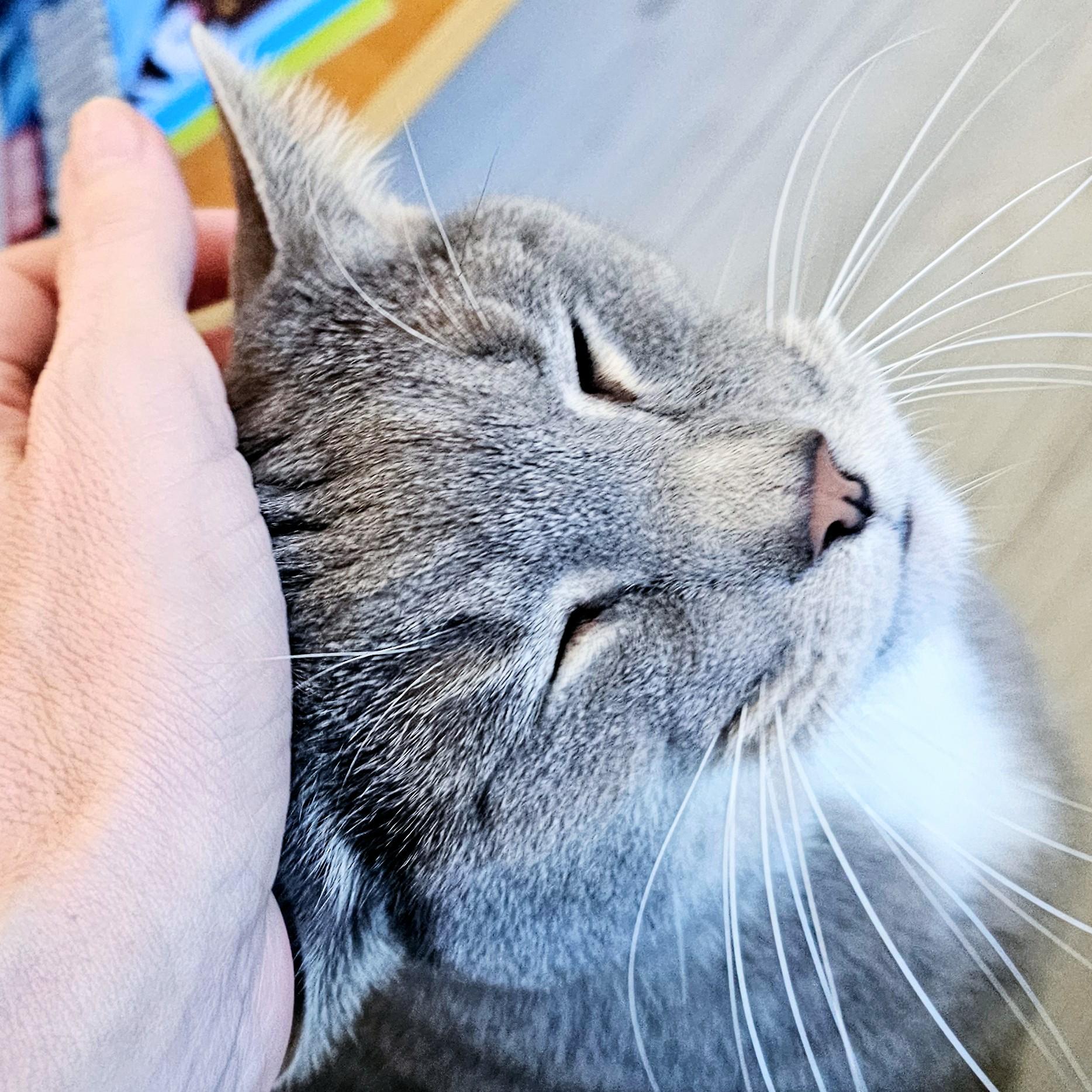 Bubby
