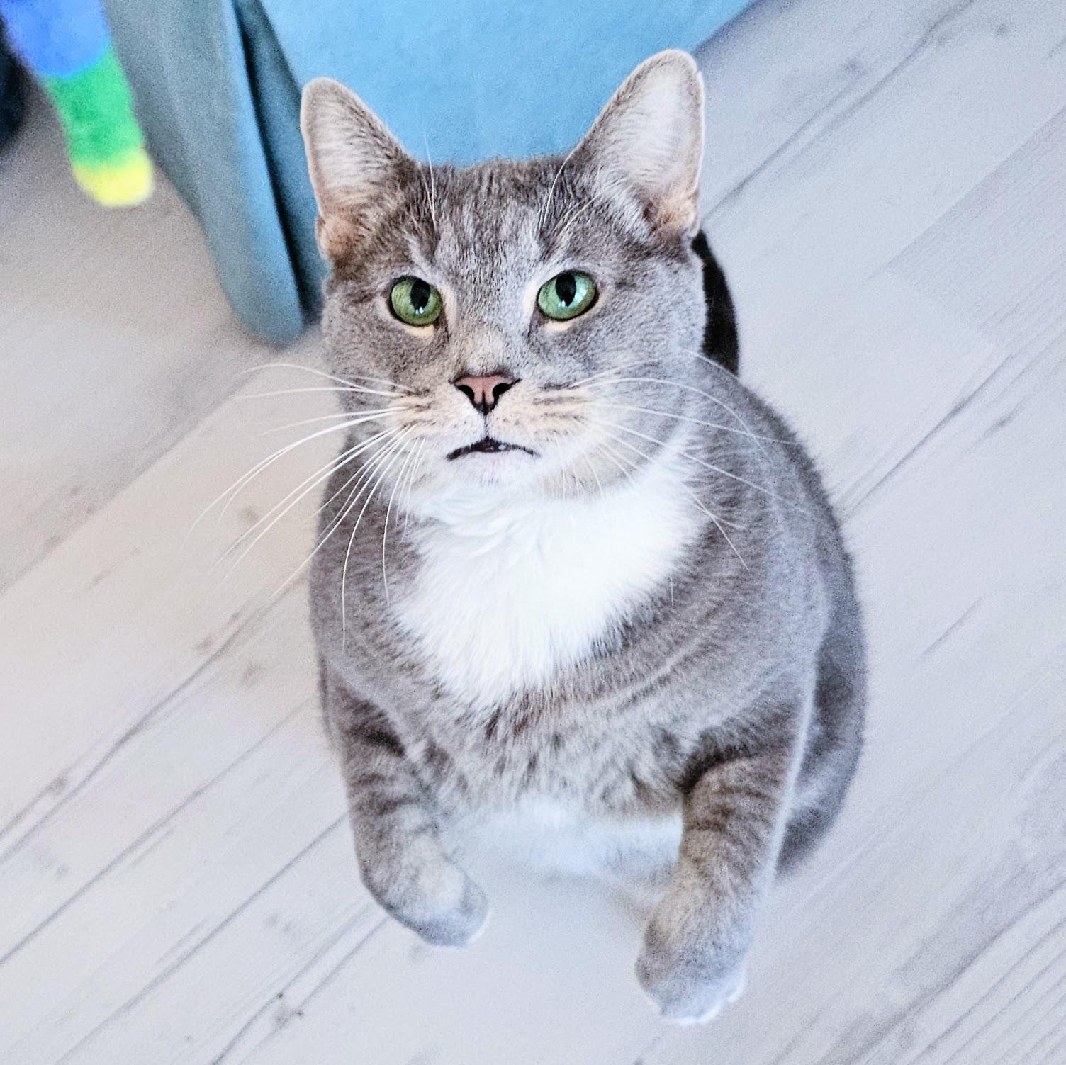 Bubby