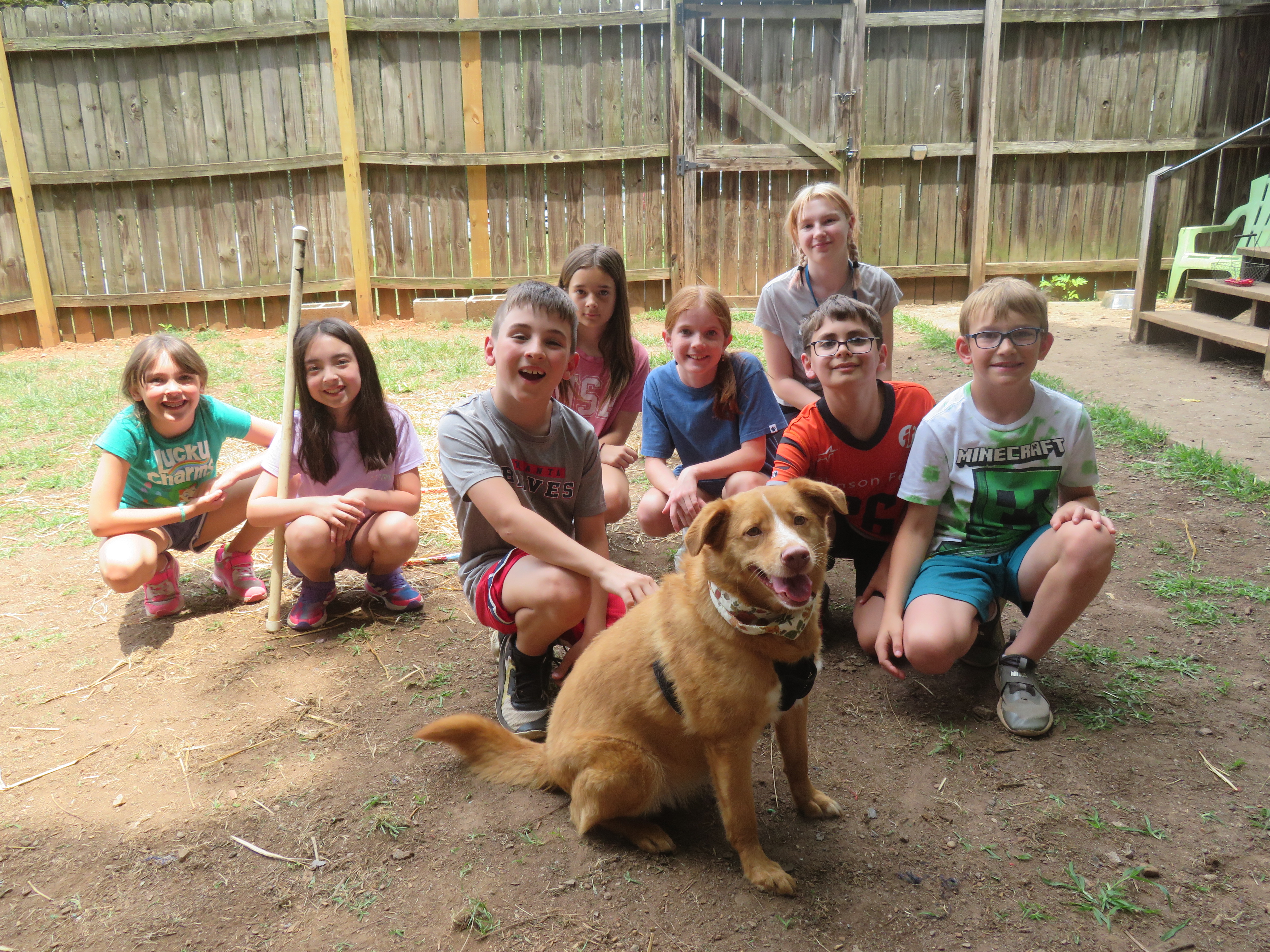 Hazel Jordan, a Adoptable Nova Scotia Duck Tolling Retriever in Marietta, GA image 3/6