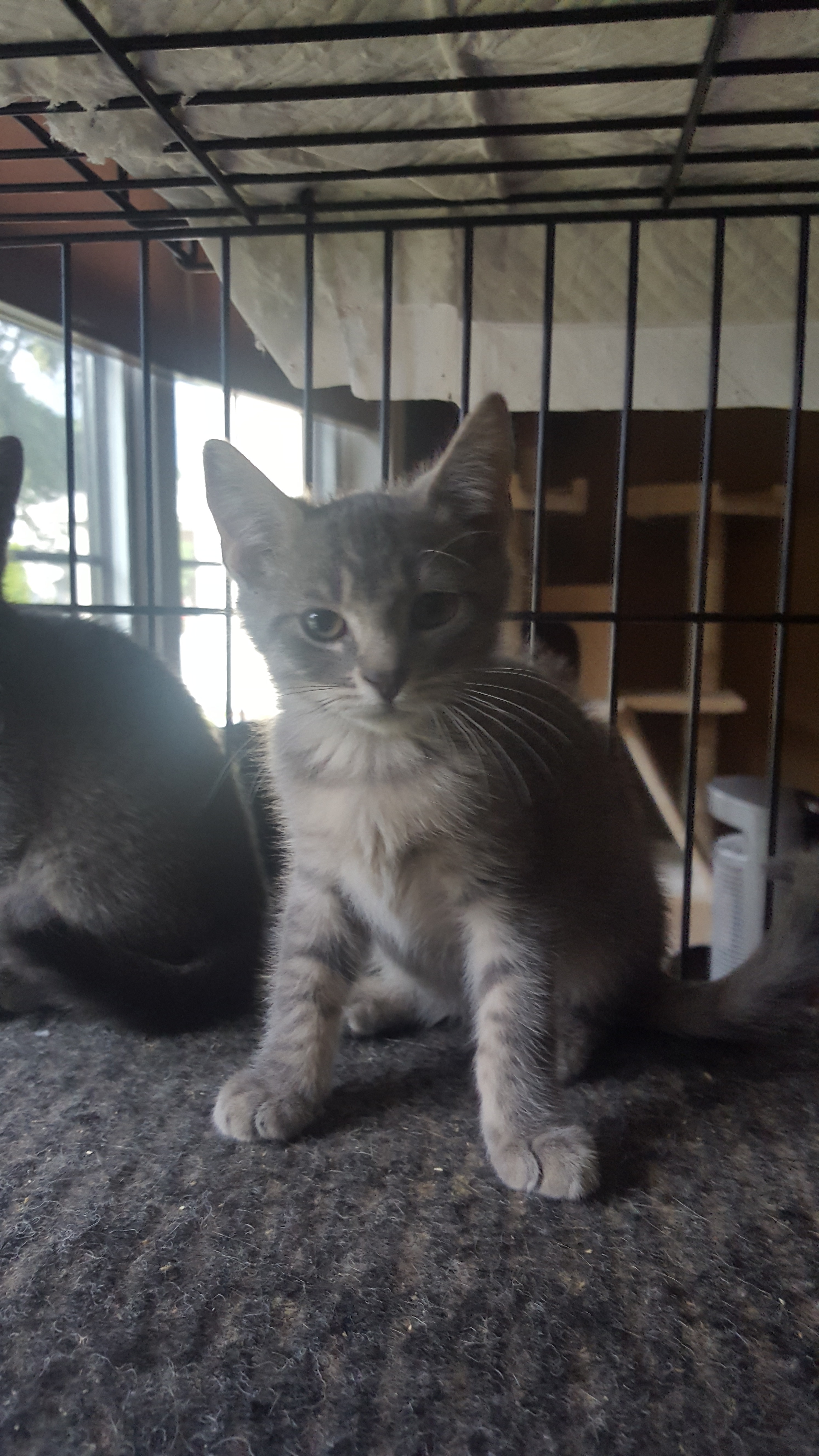 Barbosa — thumbnail 3