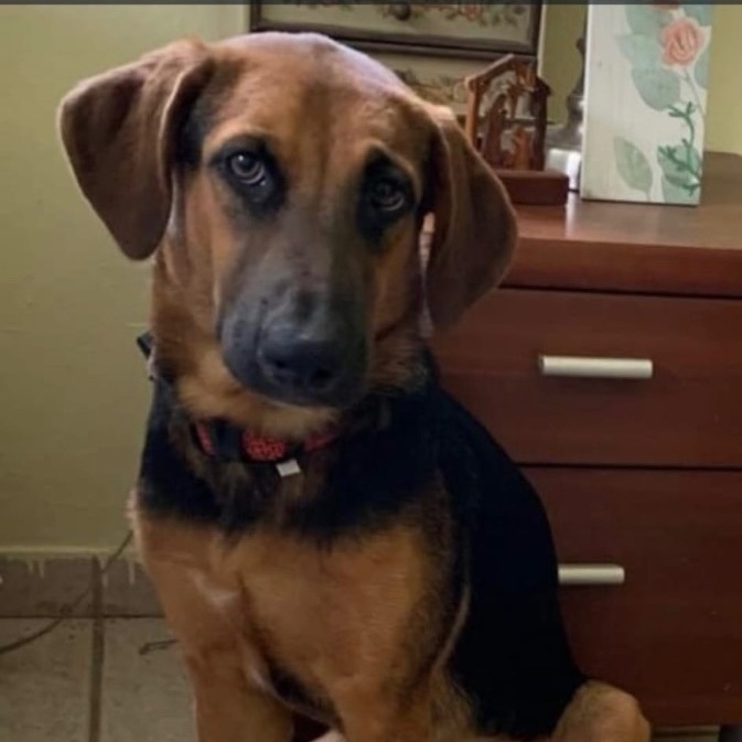 Roxy Lynn "loyal" thumbnail 3