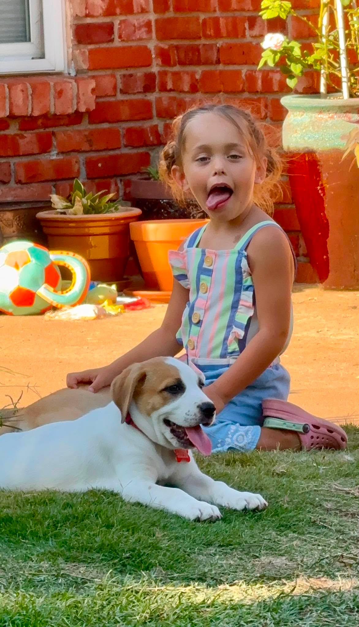 Enlarge Teeny Chirichillo, an adopted mixed breed in Kiowa, OK image 6/6
