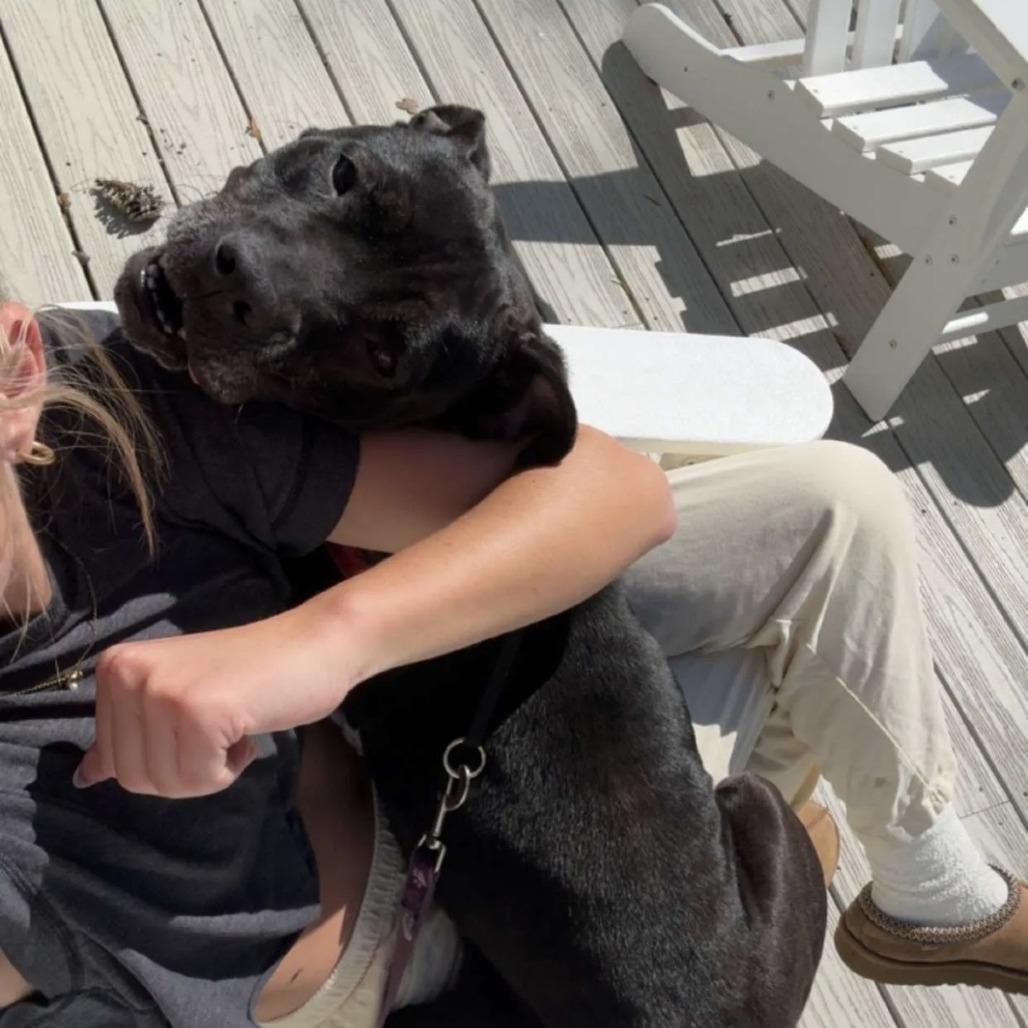 Jolene — thumbnail 4