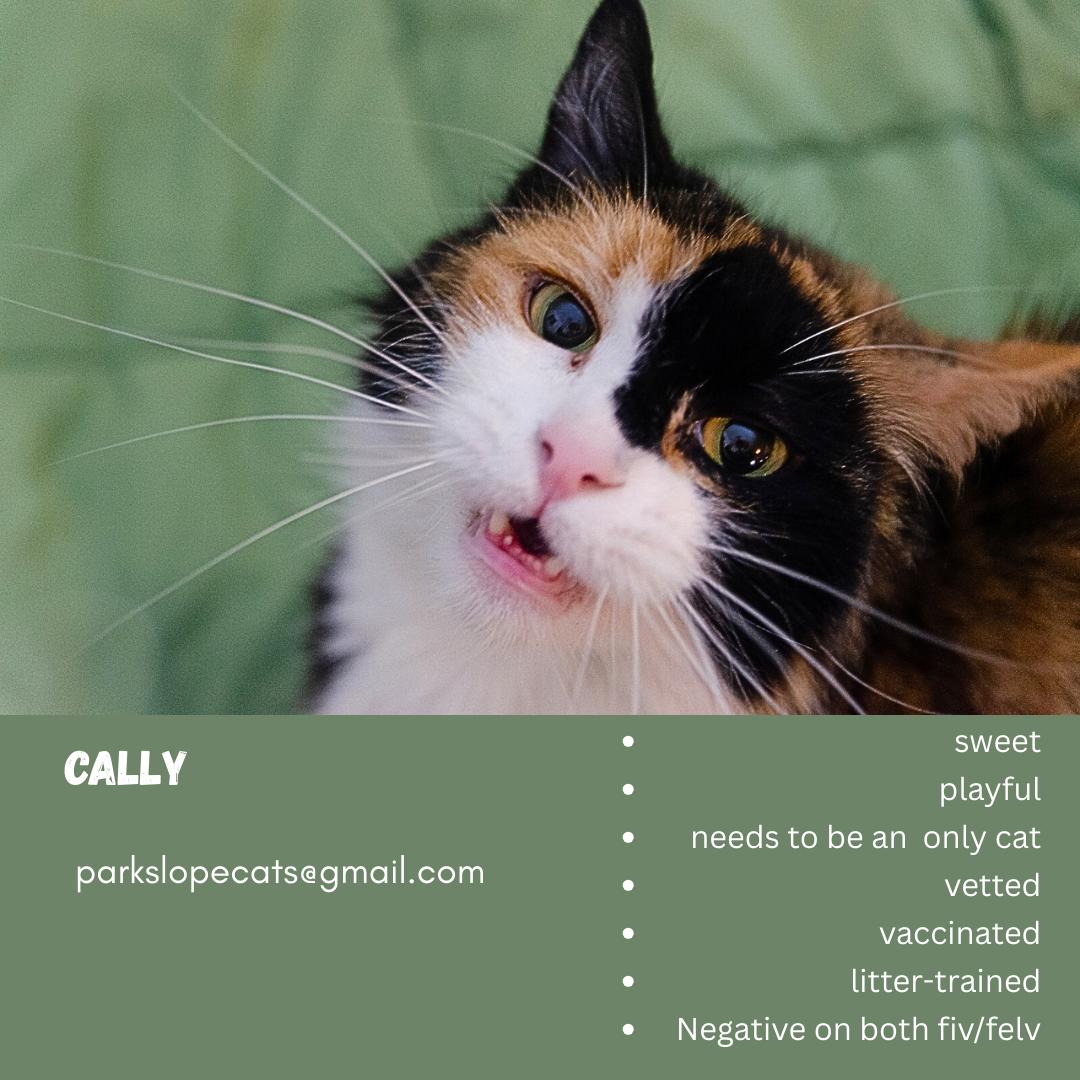 Cally thumbnail 6