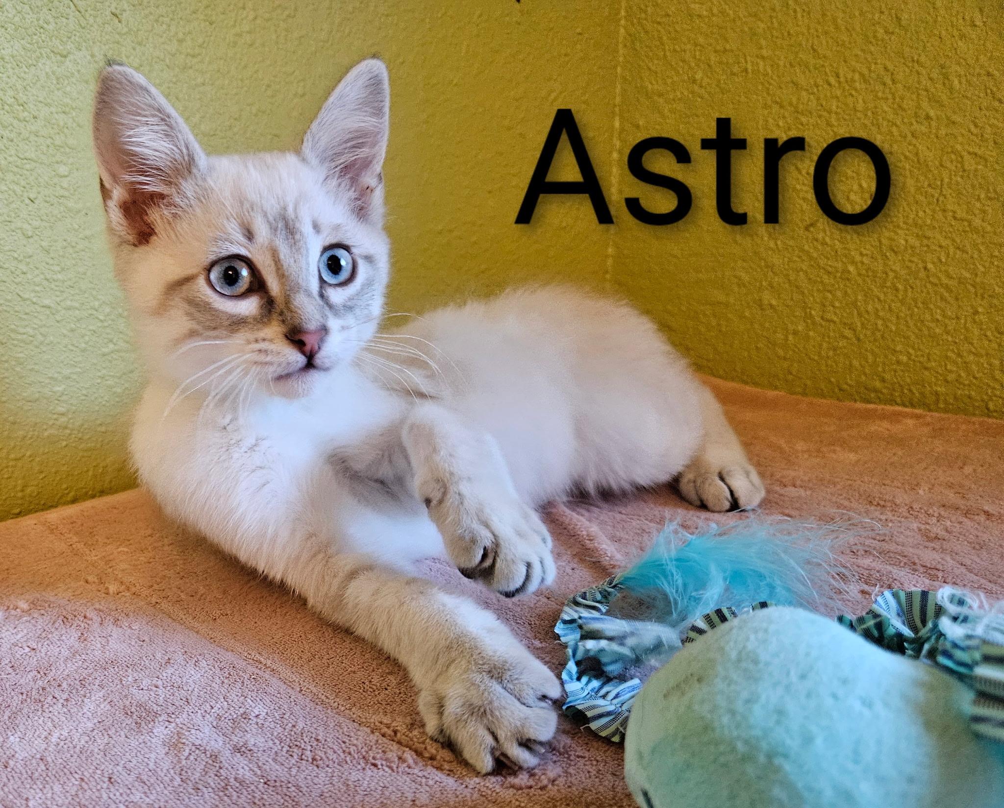 Astro - North Conroe Petsmart