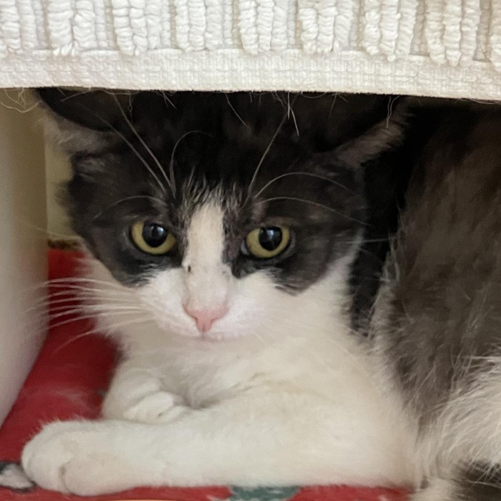 Sara — thumbnail 2