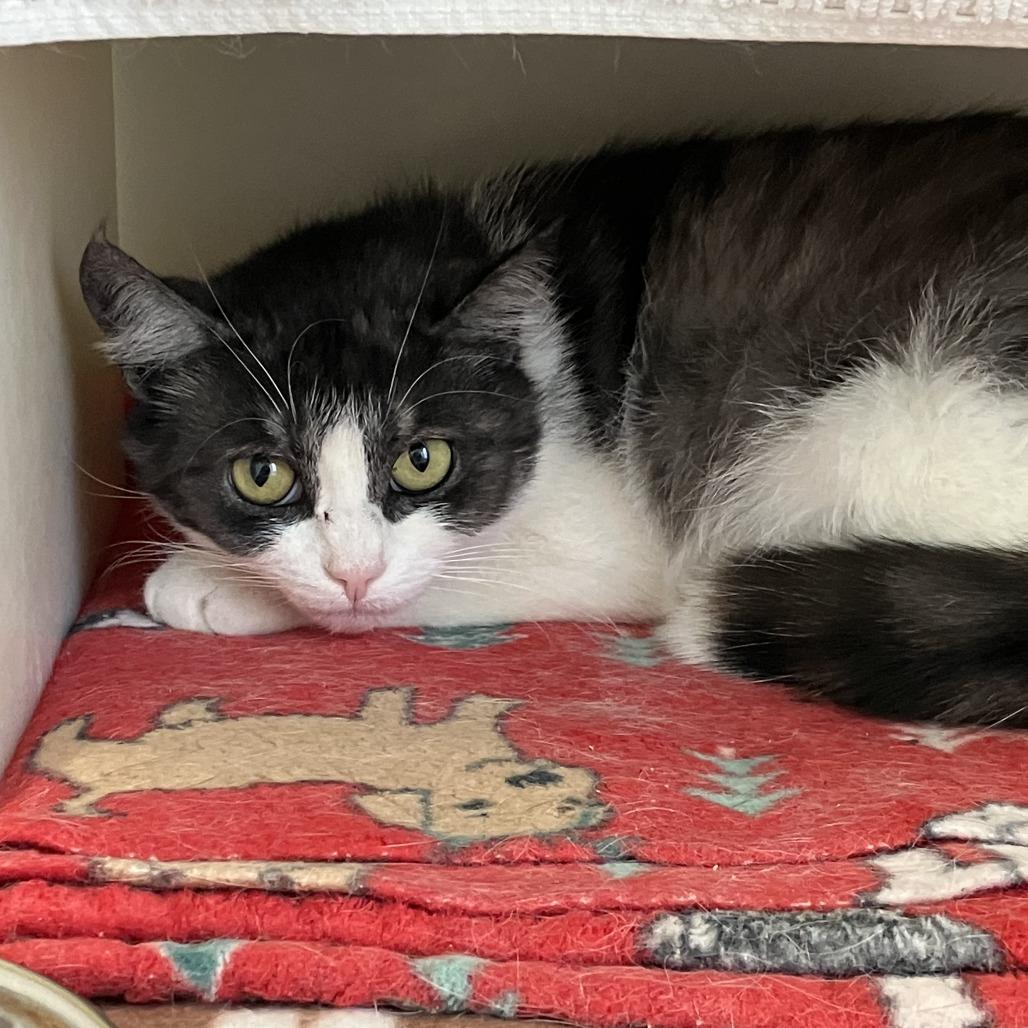 Sara — thumbnail 3