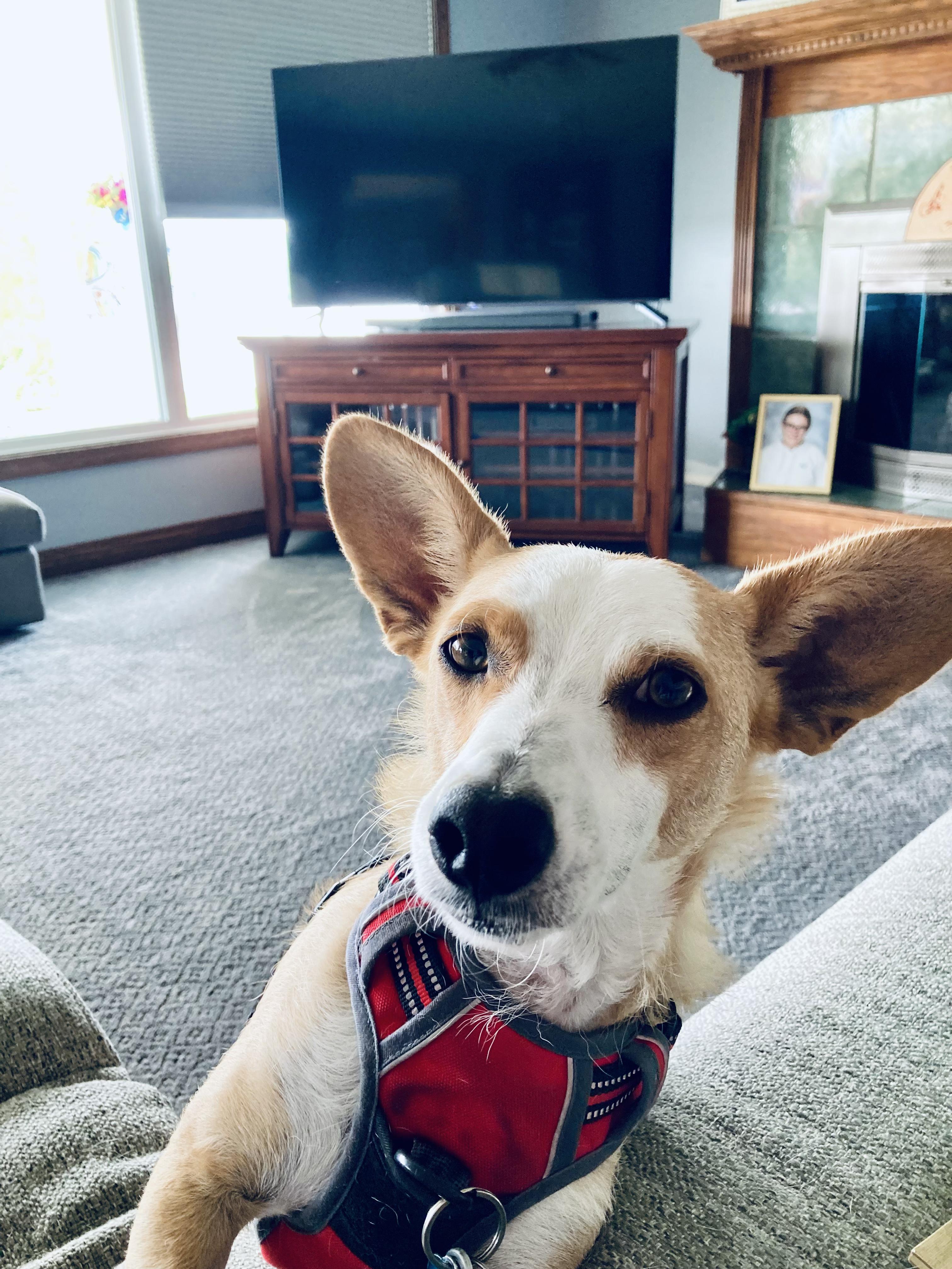 Rhett Butler thumbnail 3