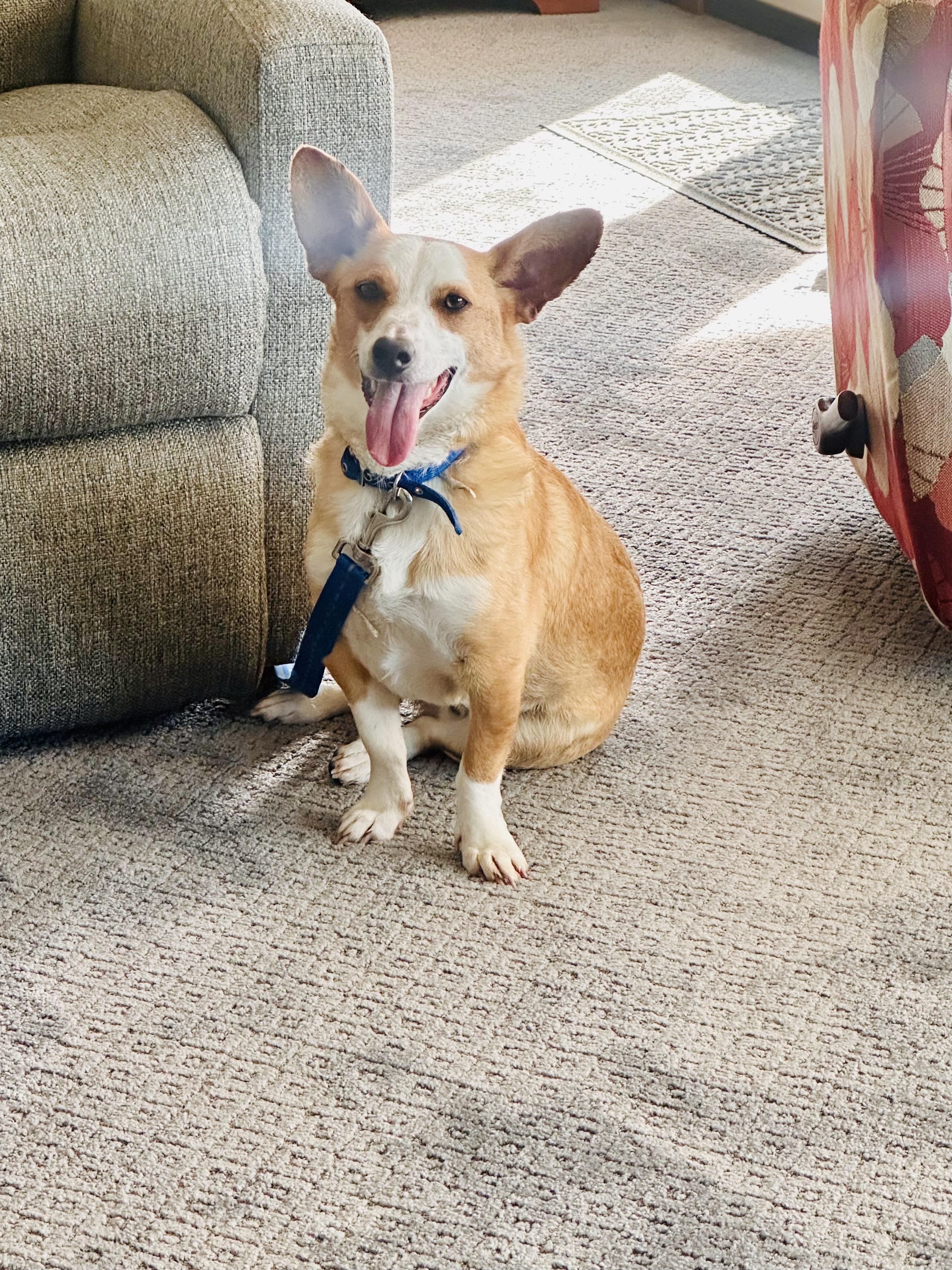 Rhett Butler thumbnail 5