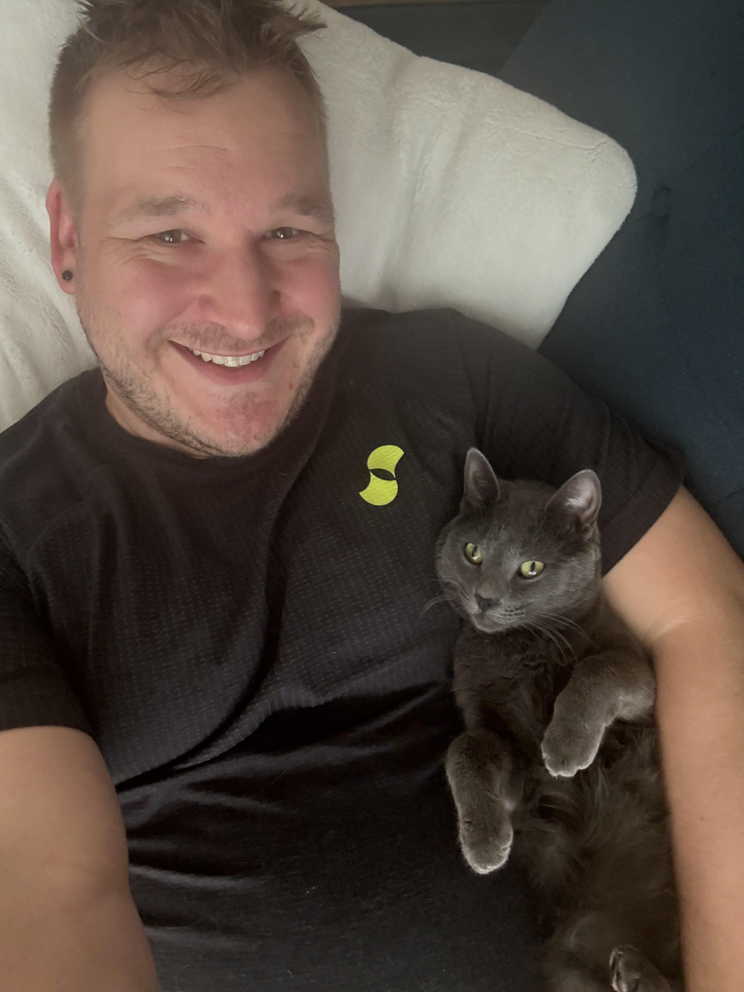 Enlarge Alexis, a Adopted Russian Blue in Santa Monica, CA image 4/4