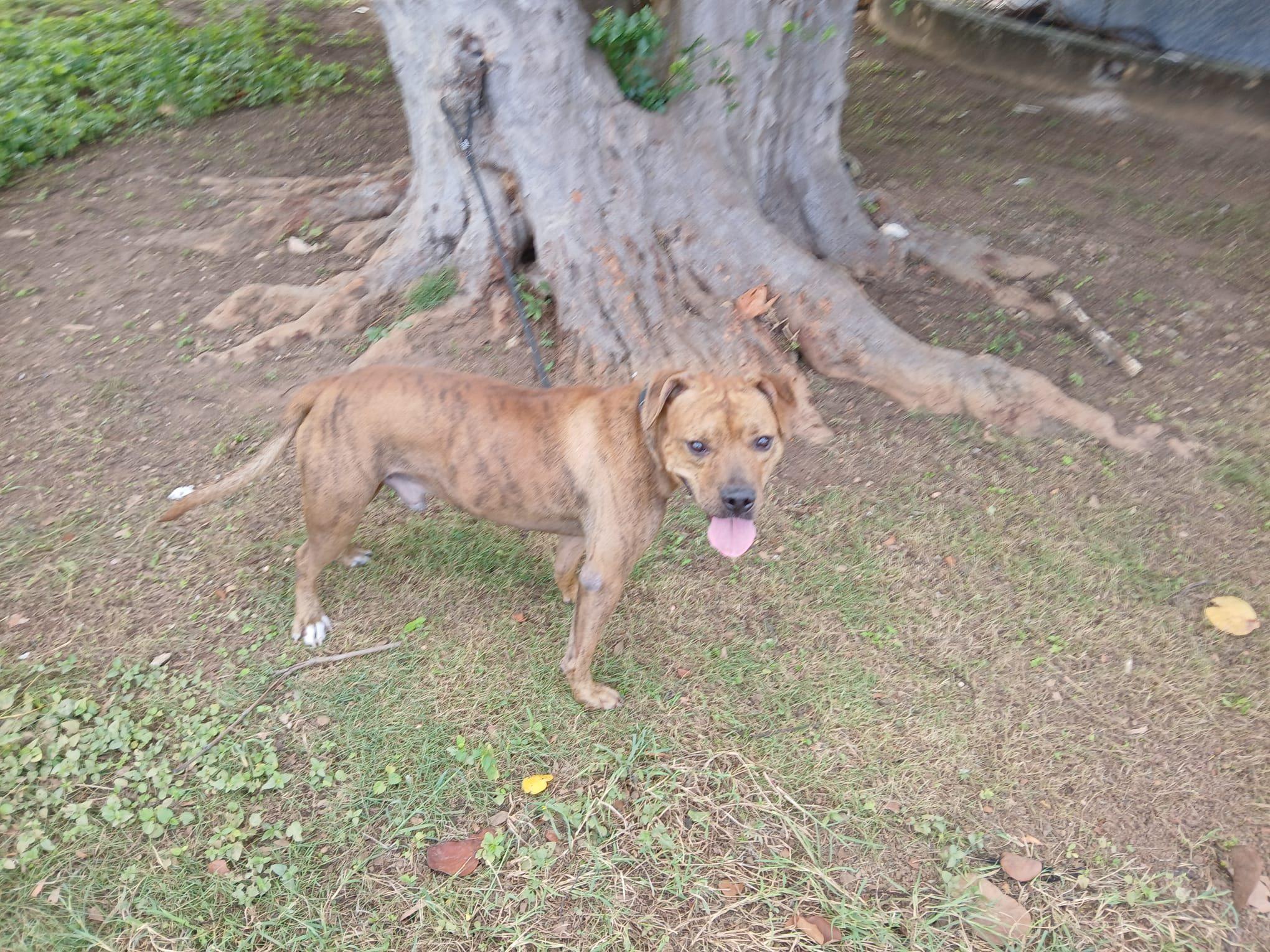 Frisco (20260104-01)