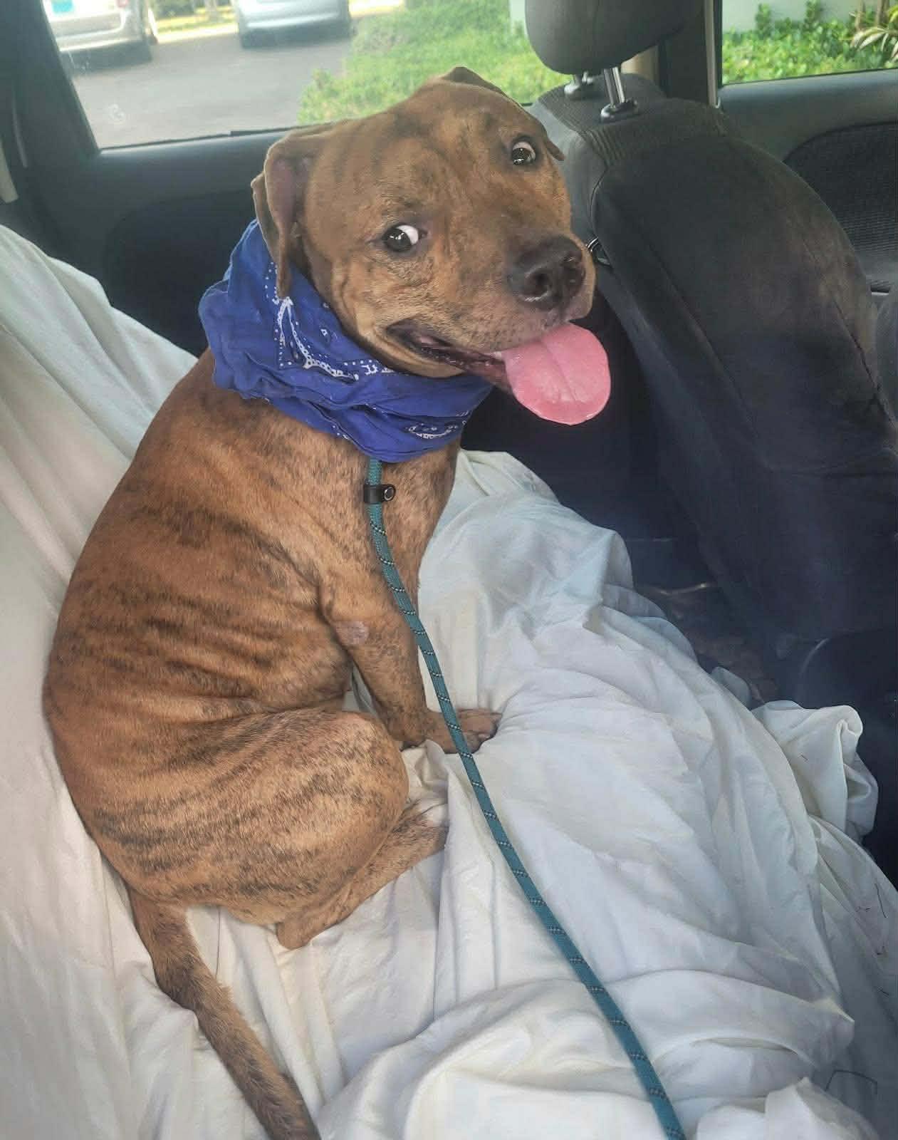 Frisco (20260104-01) — thumbnail 2