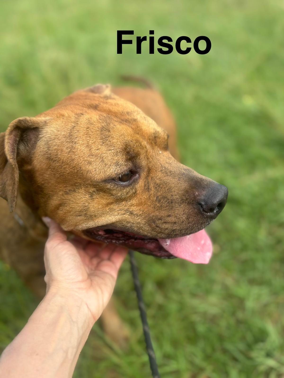 Frisco (20260104-01) — thumbnail 3