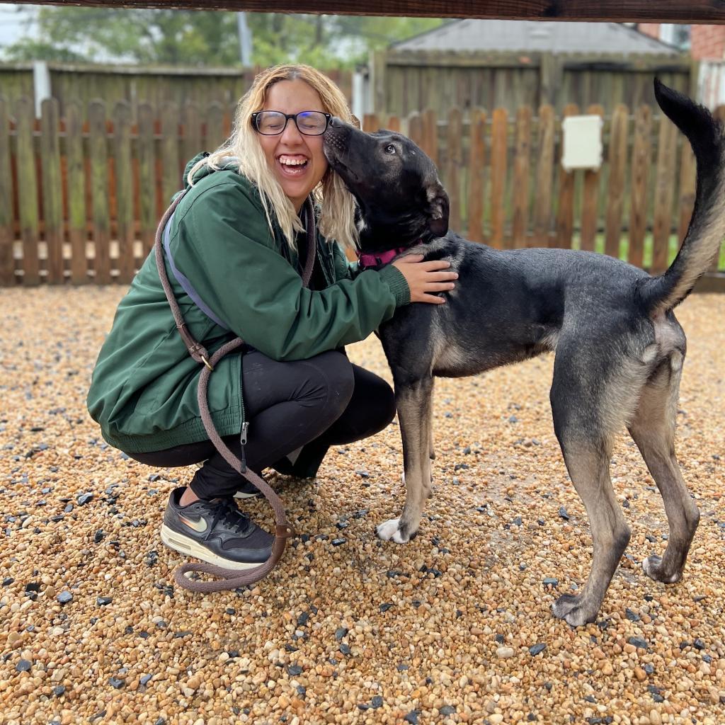 Goofy, a Adoptable mixed breed in Fredericksburg, VA image 5/6