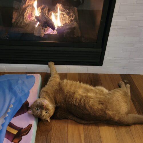 BUTTERBALL — thumbnail 5