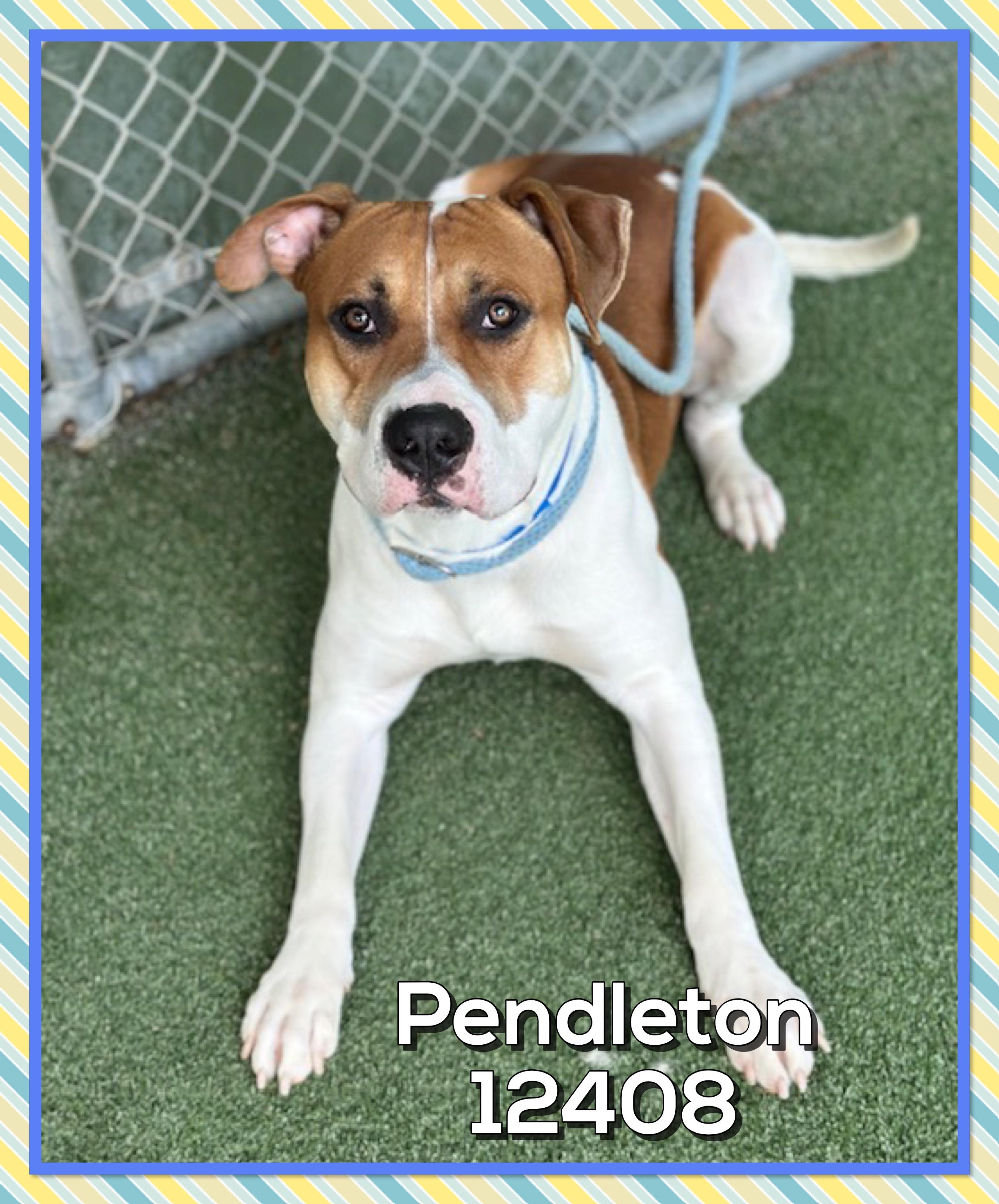 PENDLETON