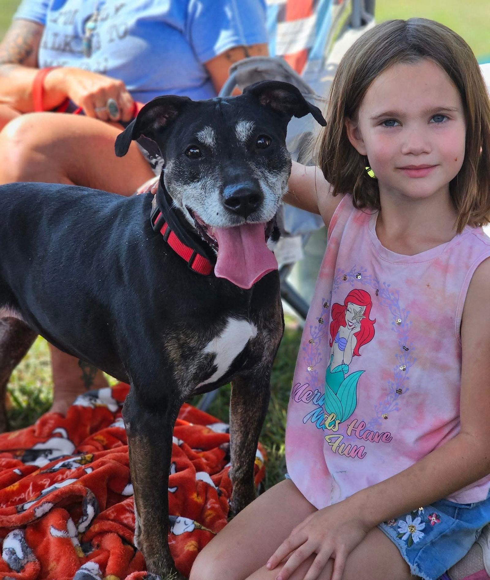 Enlarge Poppy, a Adoptable Coonhound in Fairmont, WV image 3/3