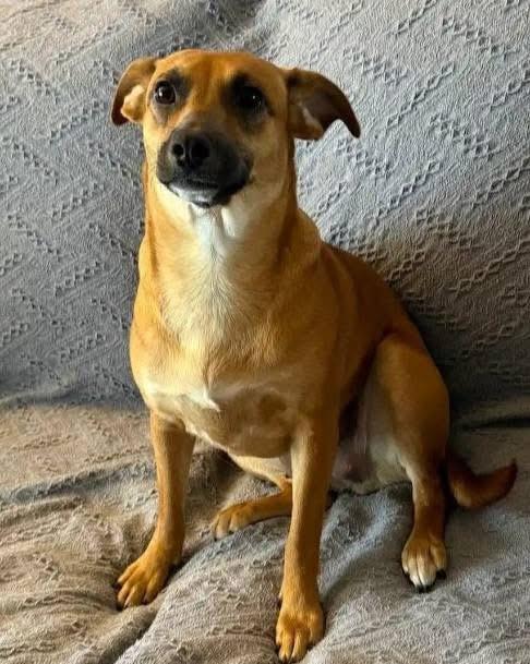 Sarah — thumbnail 4