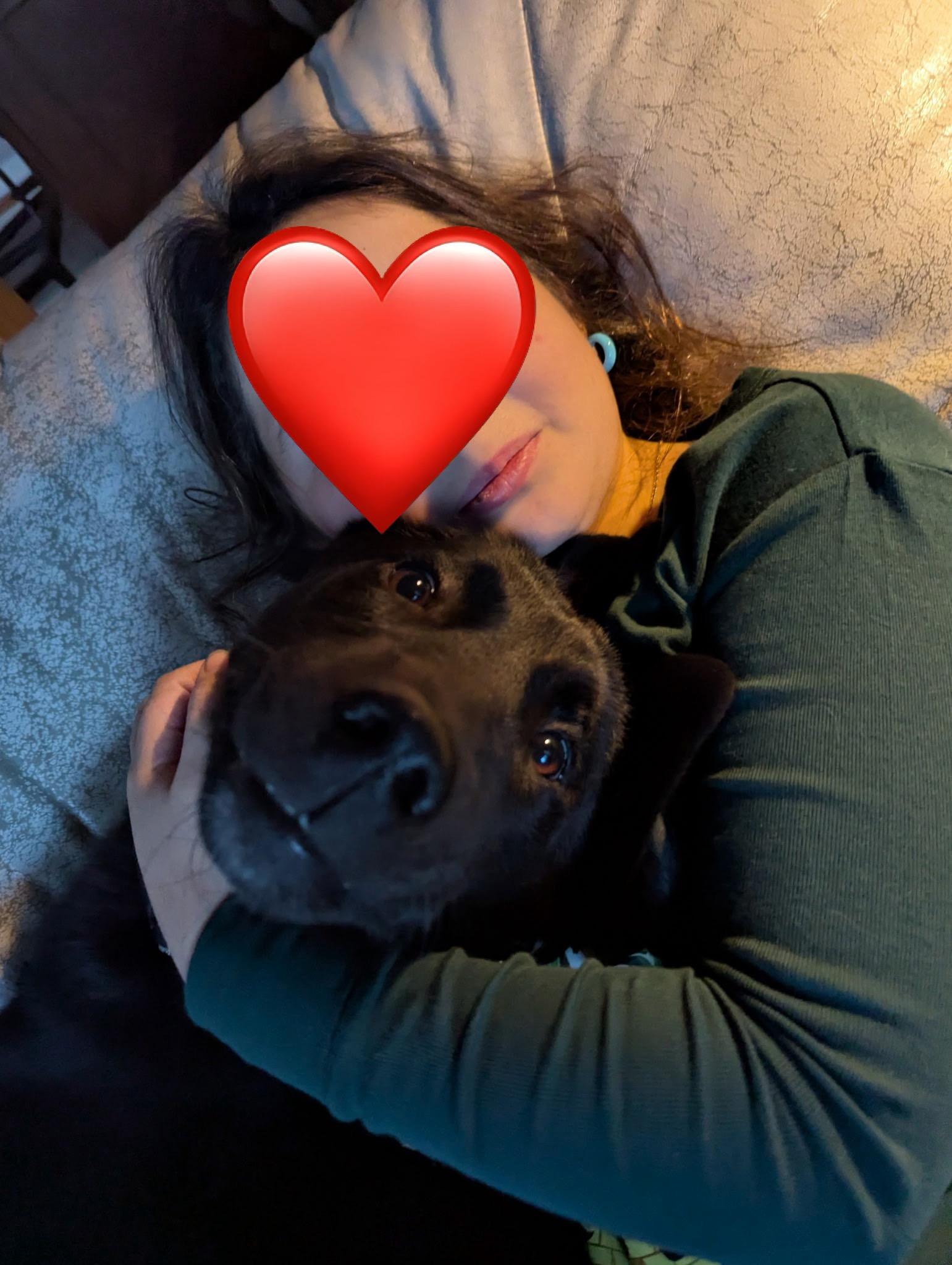 Enlarge Kumo, a Adoptable mixed breed in Glover, VT image 2/3