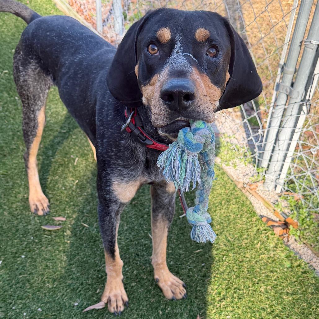 Burger King thumbnail 3