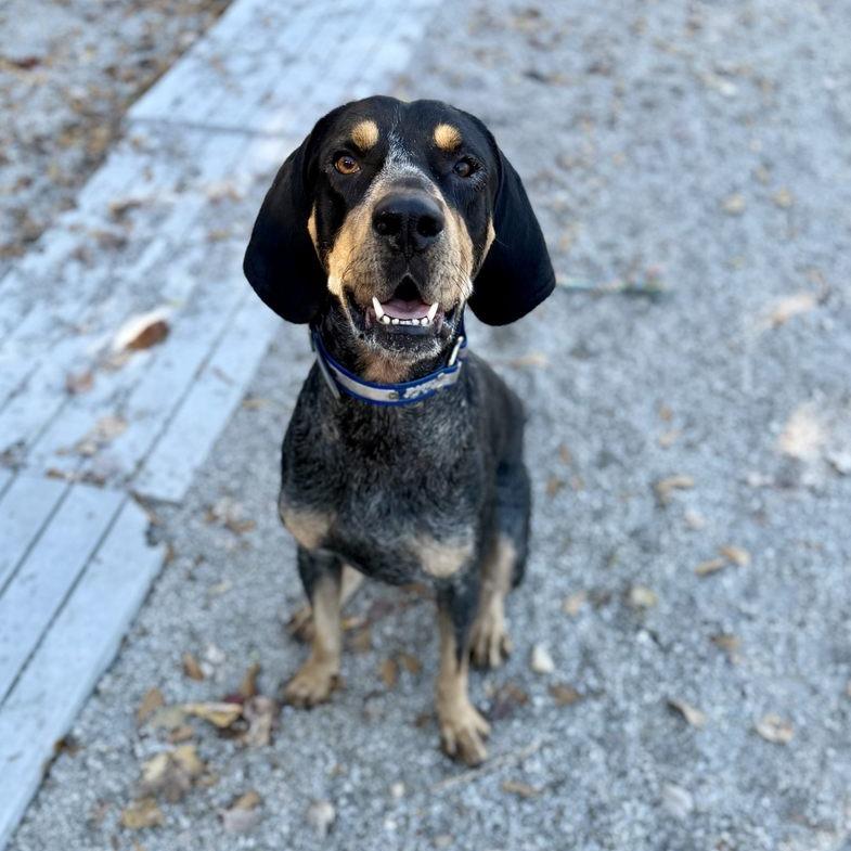 Burger King thumbnail 4