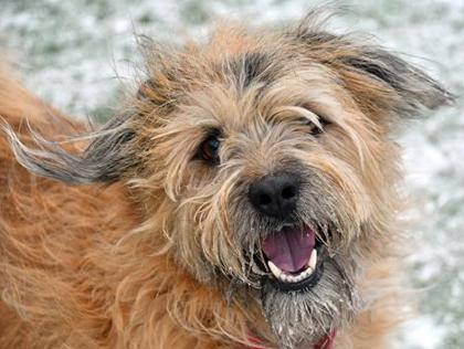 Kenji — thumbnail 3