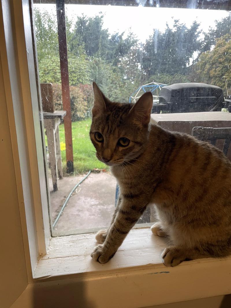 Jolly Rancher Candy — thumbnail 5