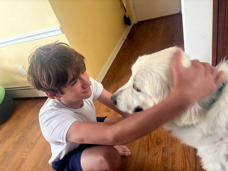 Enlarge Daisy, a Adoptable Great Pyrenees in Bedford Hills, NY image 5/5