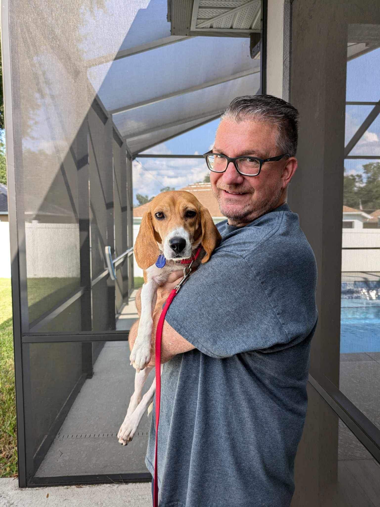 Enlarge Mouse, a Adopted Beagle in Dunnellon, FL image 1/3
