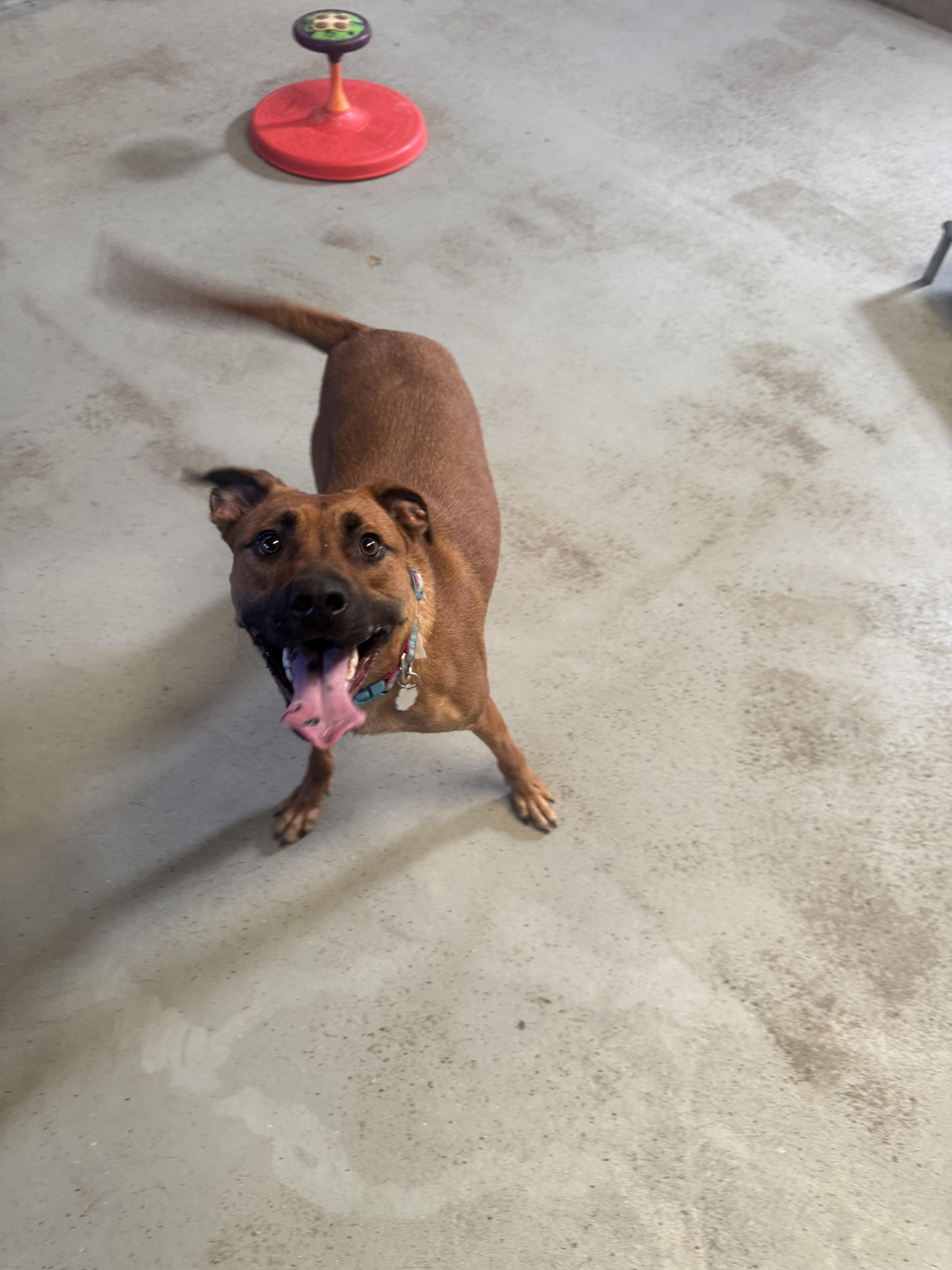 Dakota 0125 — thumbnail 2