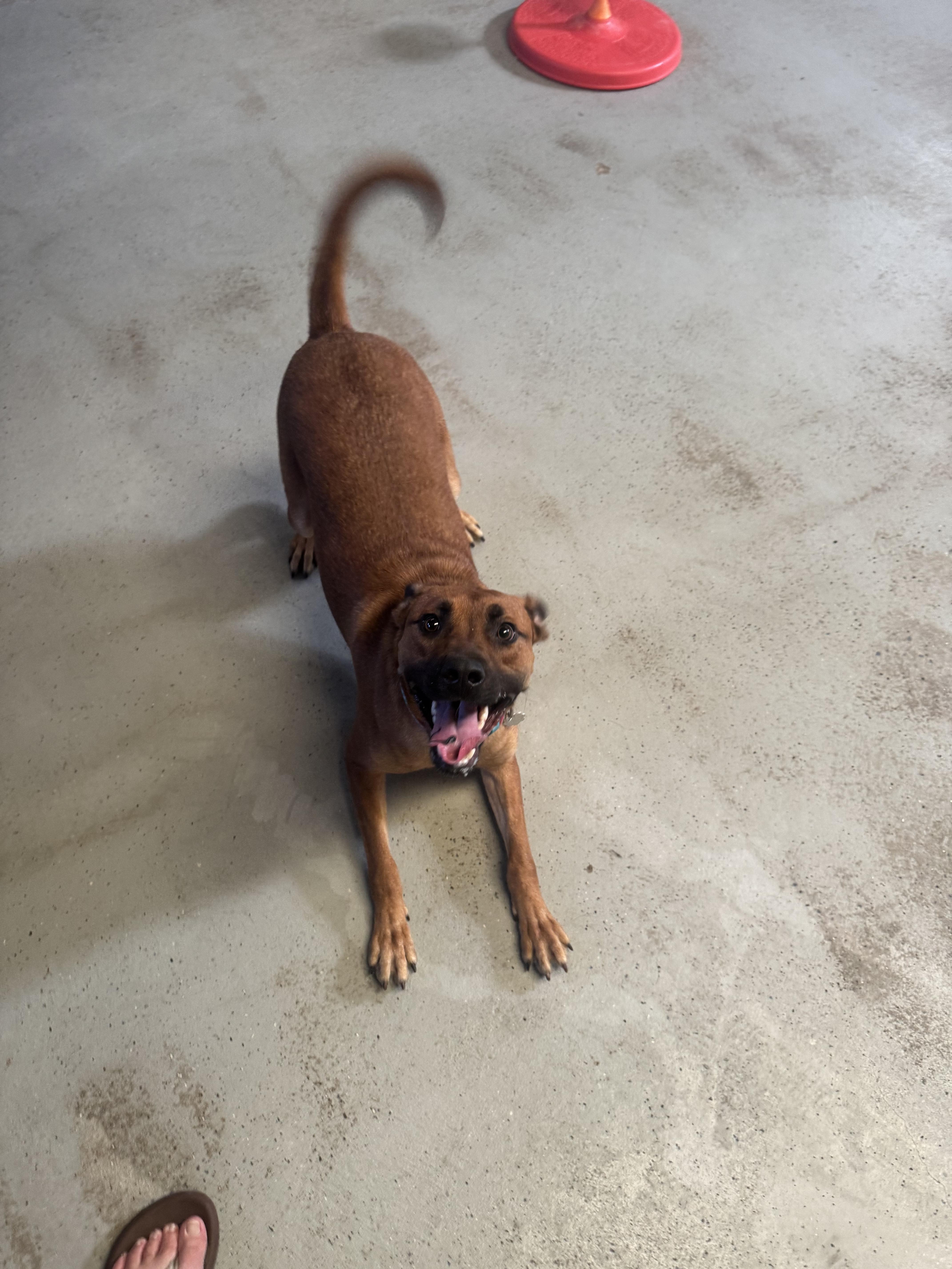 Dakota 0125 — thumbnail 5